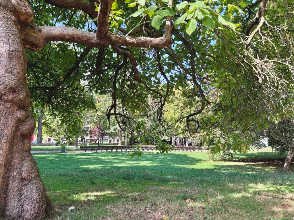 Historisch herenhuis aan het Zuidpark centrum Gent. foto 21