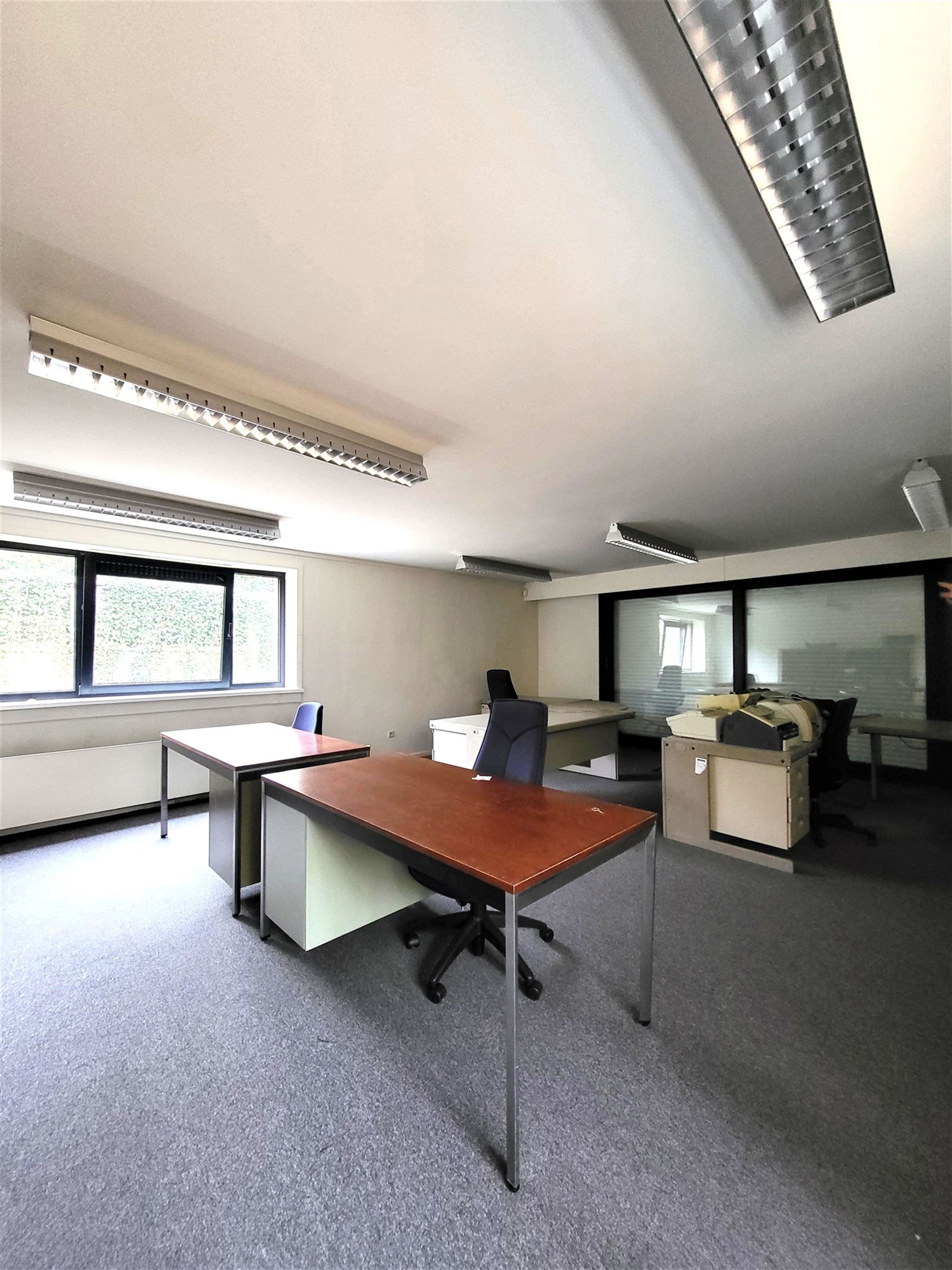 Villa met professionele opslagruimte, kelder en kantoorruimtes. foto 28