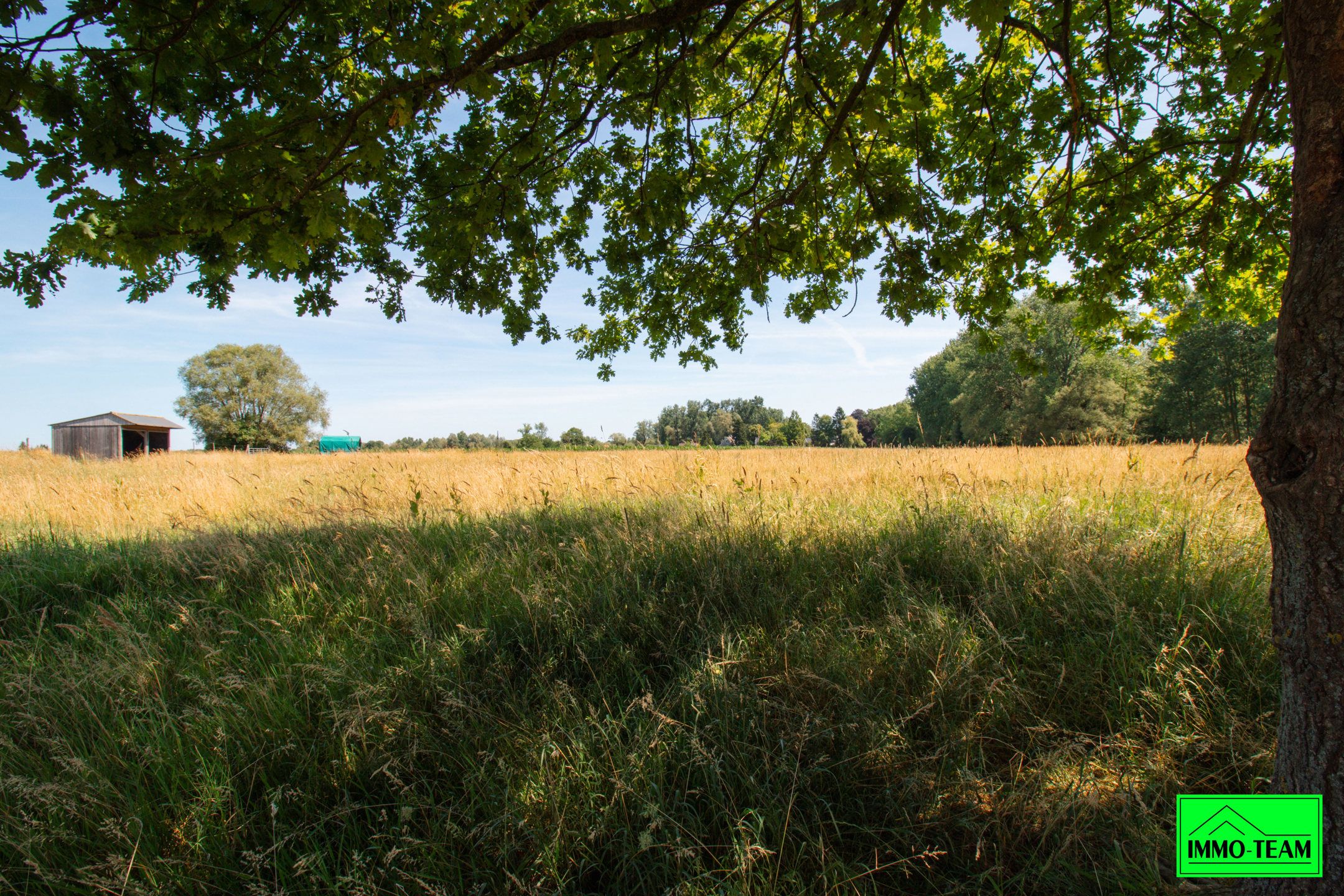 2,7ha Omheinde weide met schuilstallen, Ideaal voor paarden foto 5