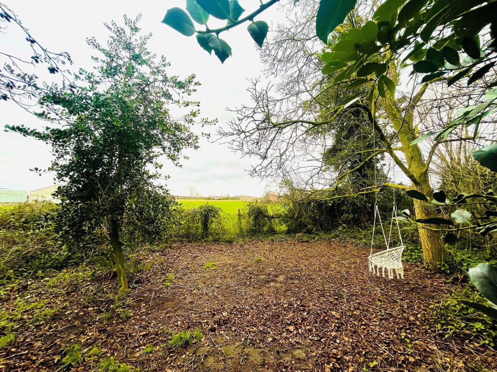 Huis te koop foto 14