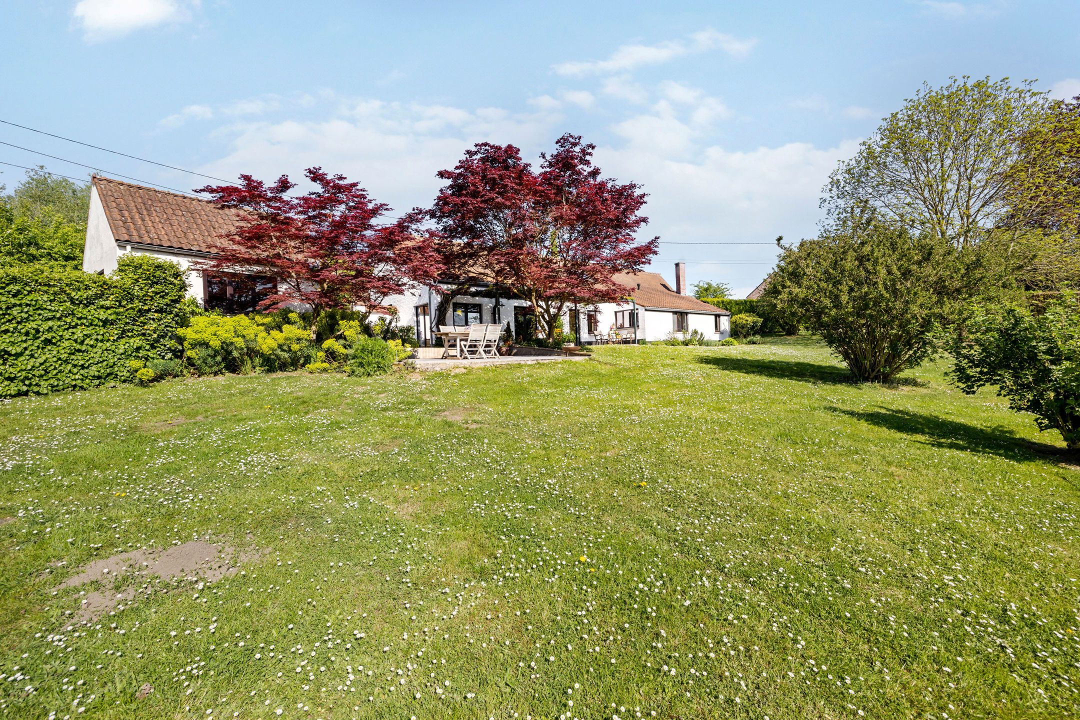 Met smaak gerenoveerde landelijke woning op +/- 63a foto 3