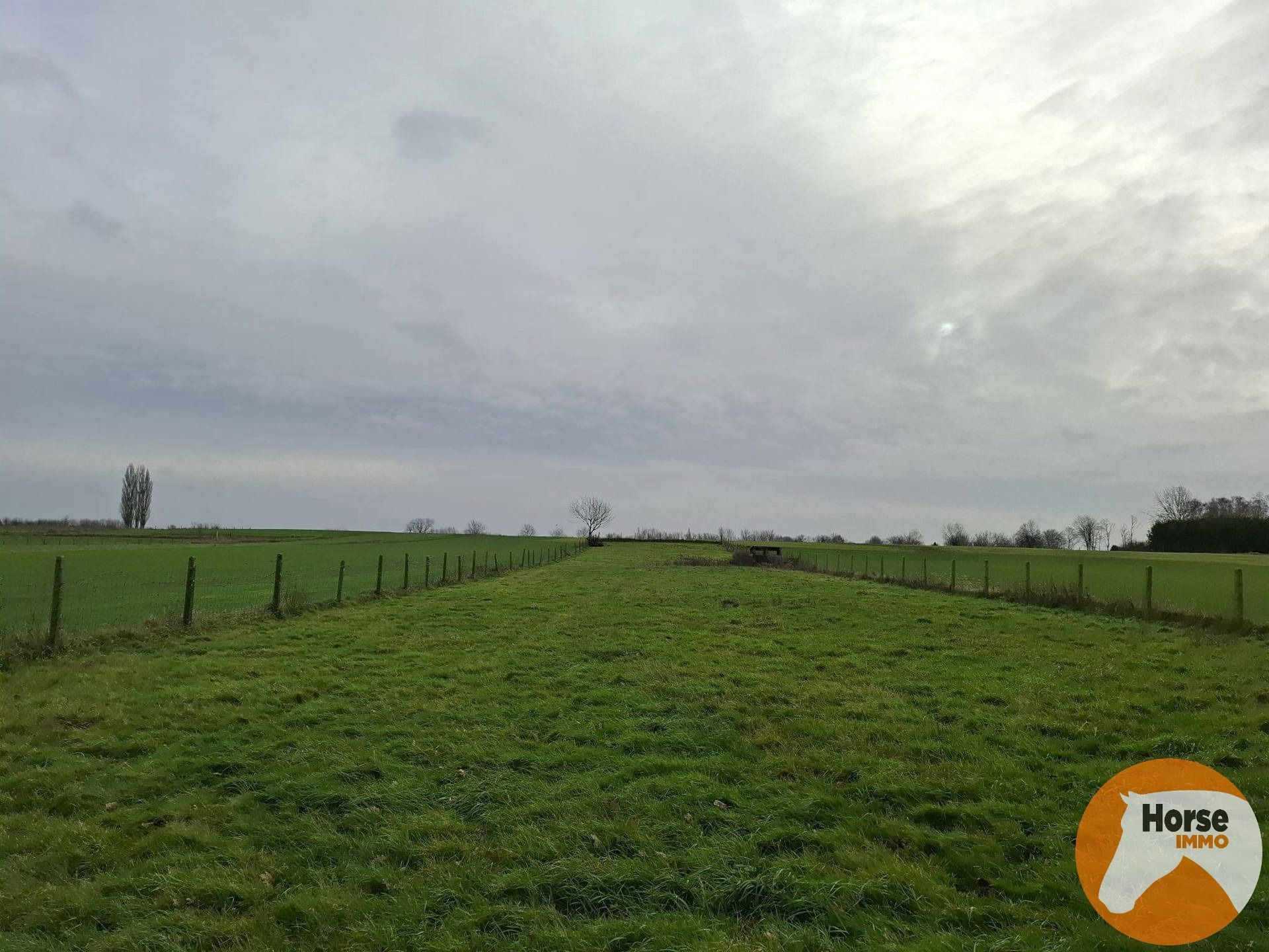 DENDERHOUTEM– Perceel weiland van 29a 50ca foto 6