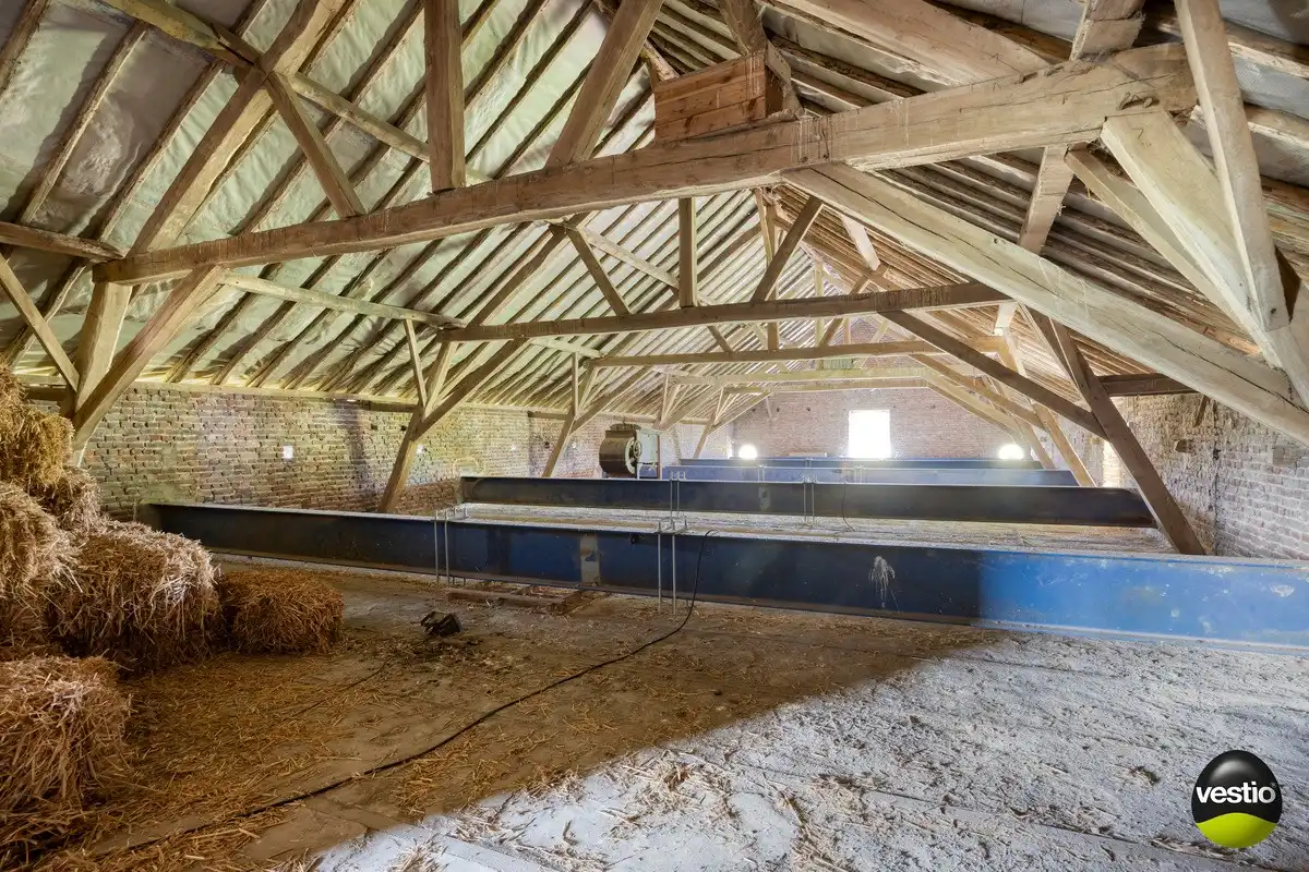EXCLUSIEVE HOEVE MET MEERDERE WOONGEDEELTES, ATELIER, STALLING en AANPALENDE WEIDE OP CA. 1,6 HECTARE NABIJ DOMEIN NIEUWENHOVEN. foto 82