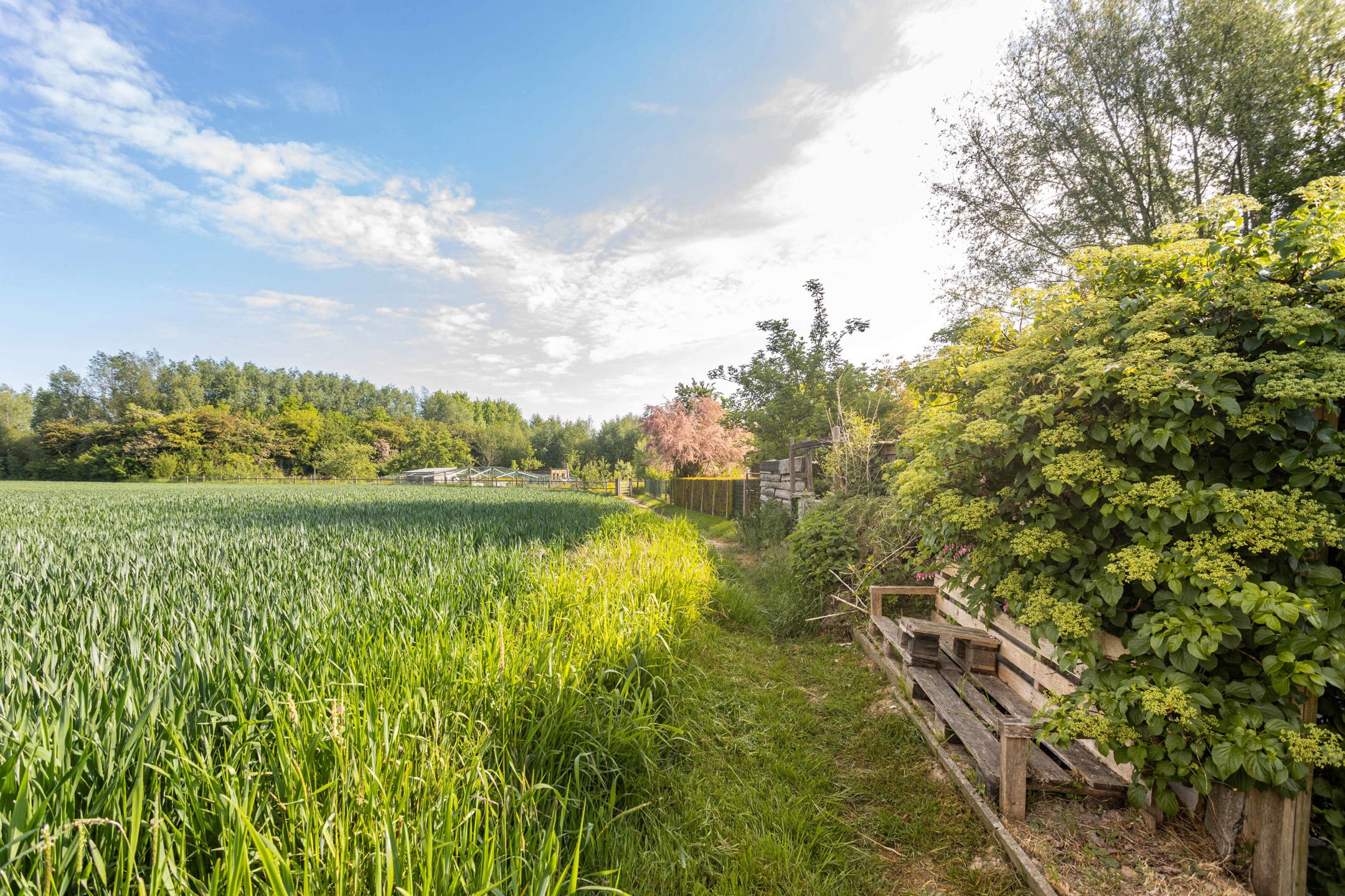 Aangename, instapklare woning met tuin in groene omgeving! foto 28