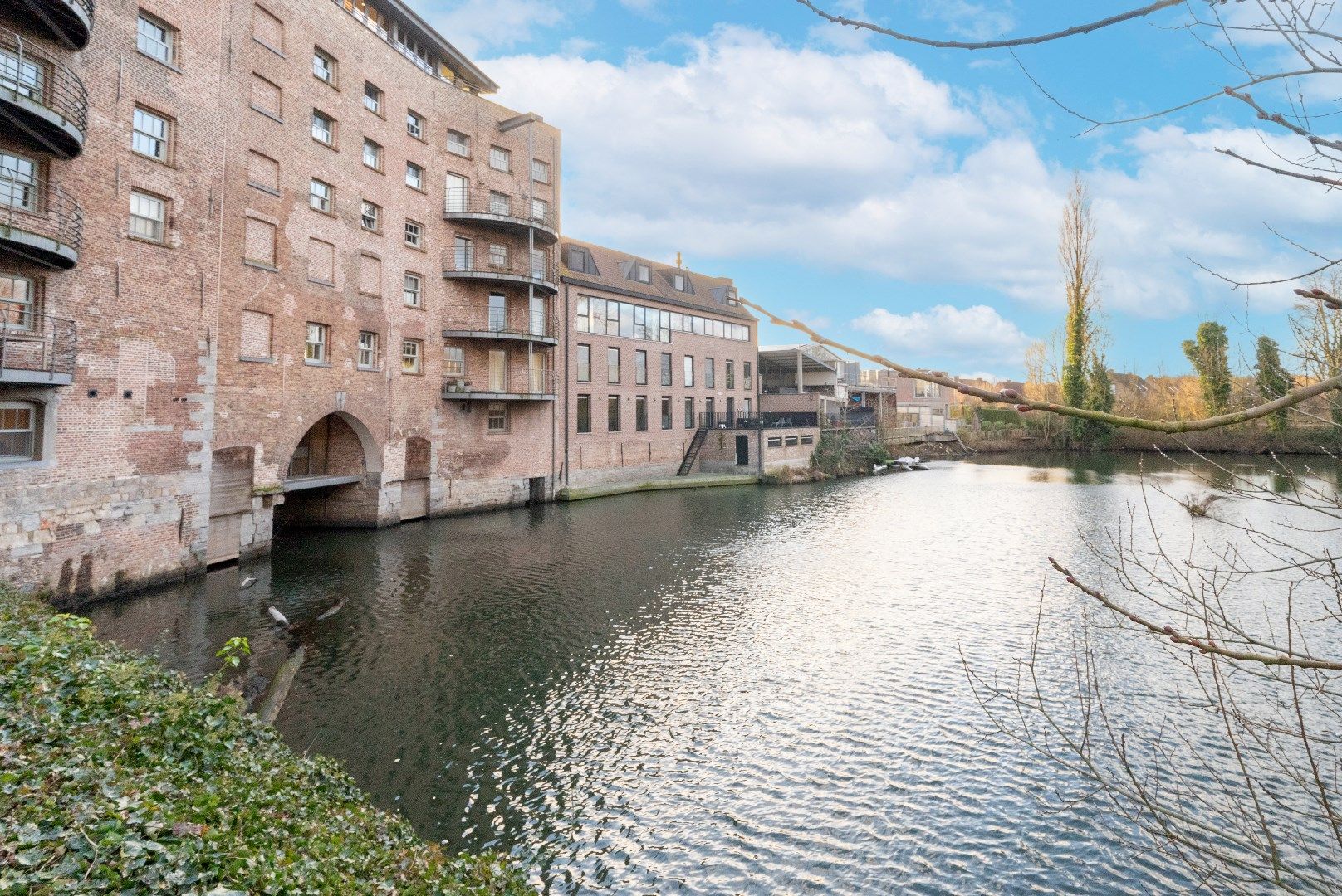 Loft te koop 8530 Harelbeke