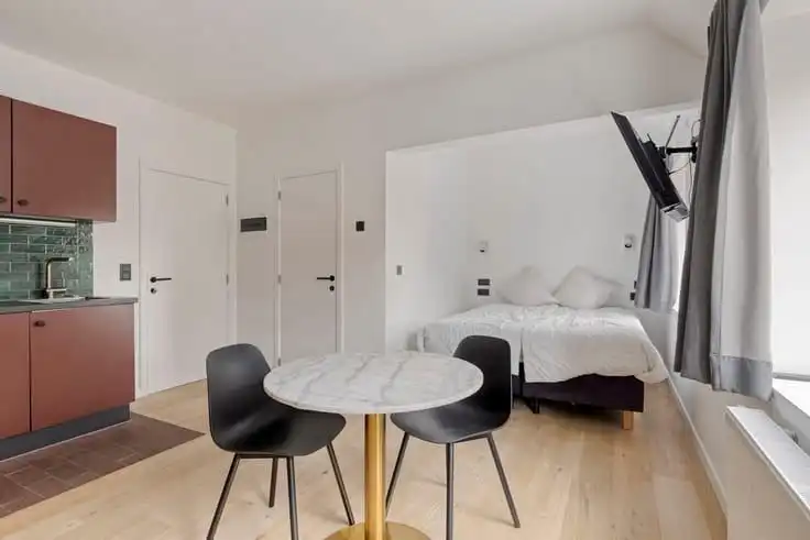 Volledig gemeubelde studio (25 m²) in het centrum van Leuven! foto 5