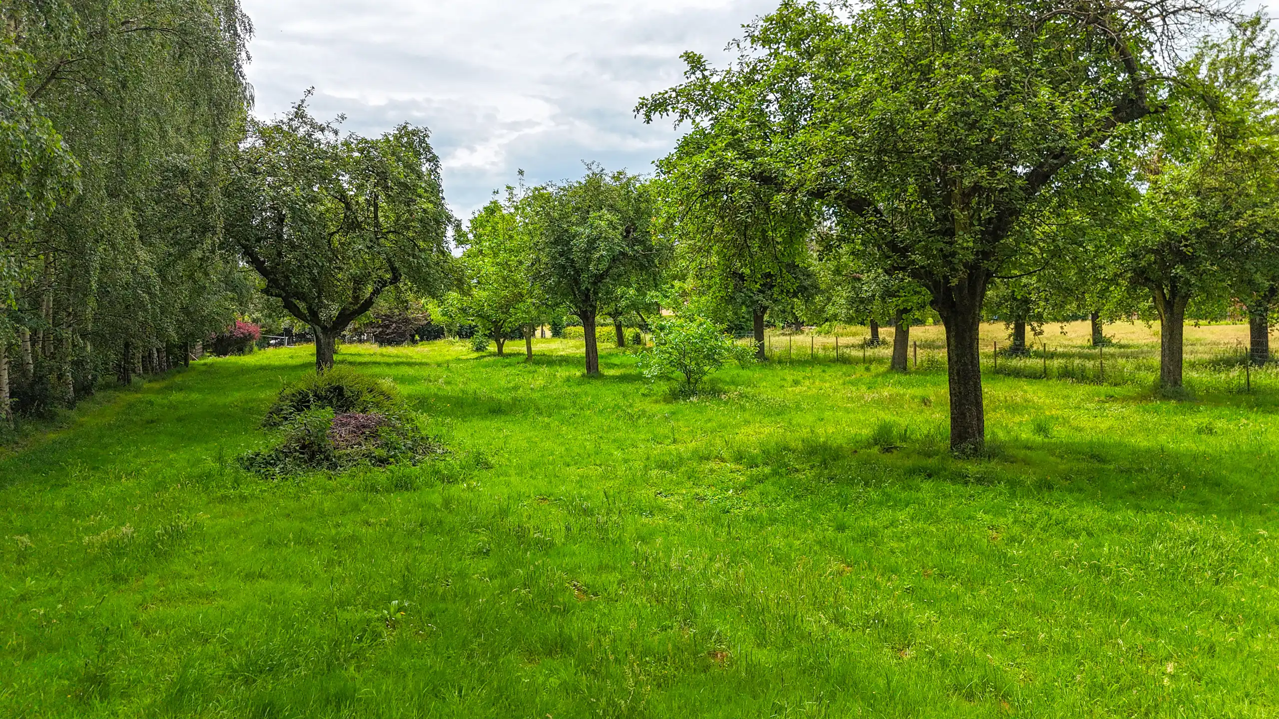 Authentieke hoeve met perceel van 68are en 2slpks! foto 58