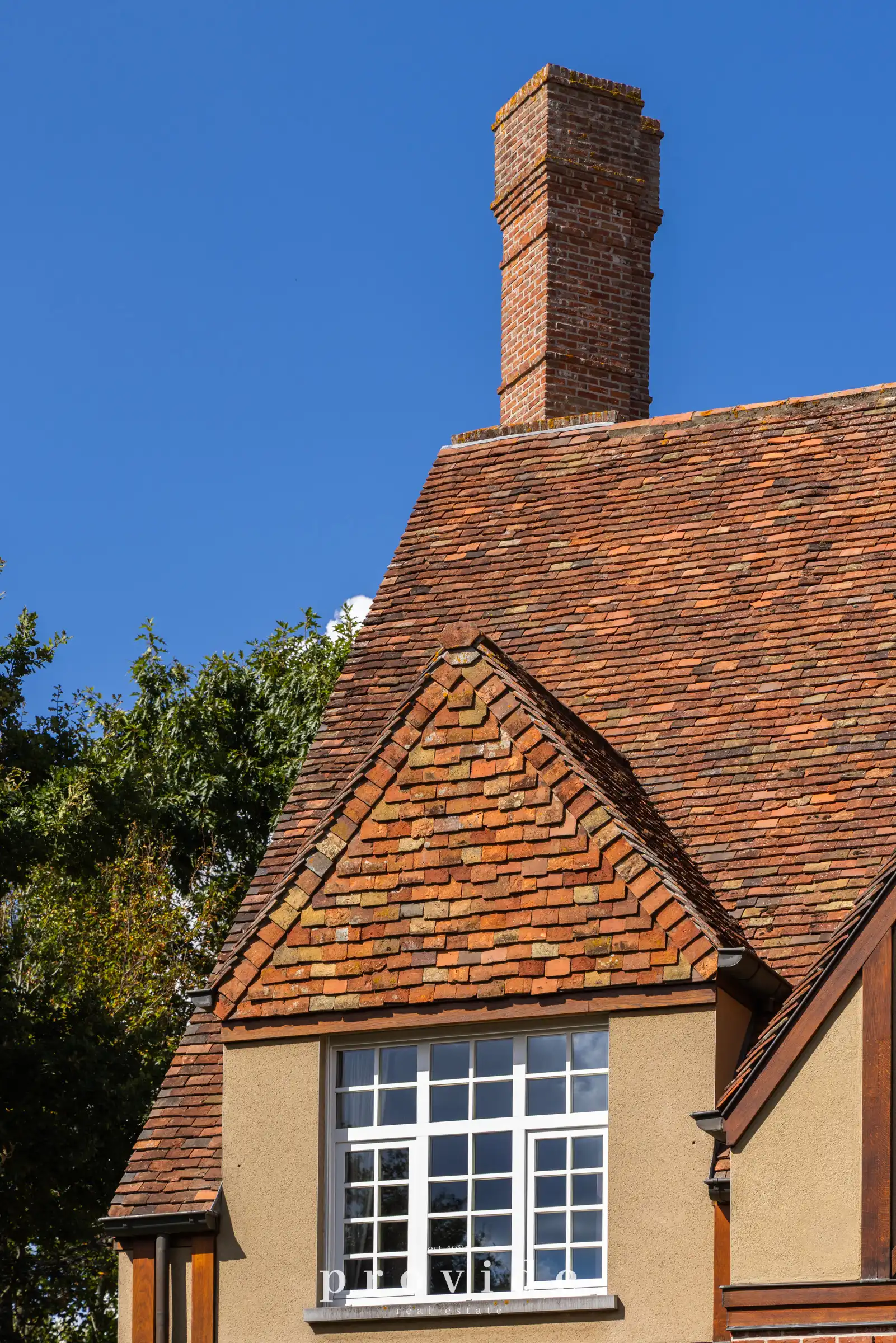 Exclusieve villa op royaal domein in groene omgeving foto 2