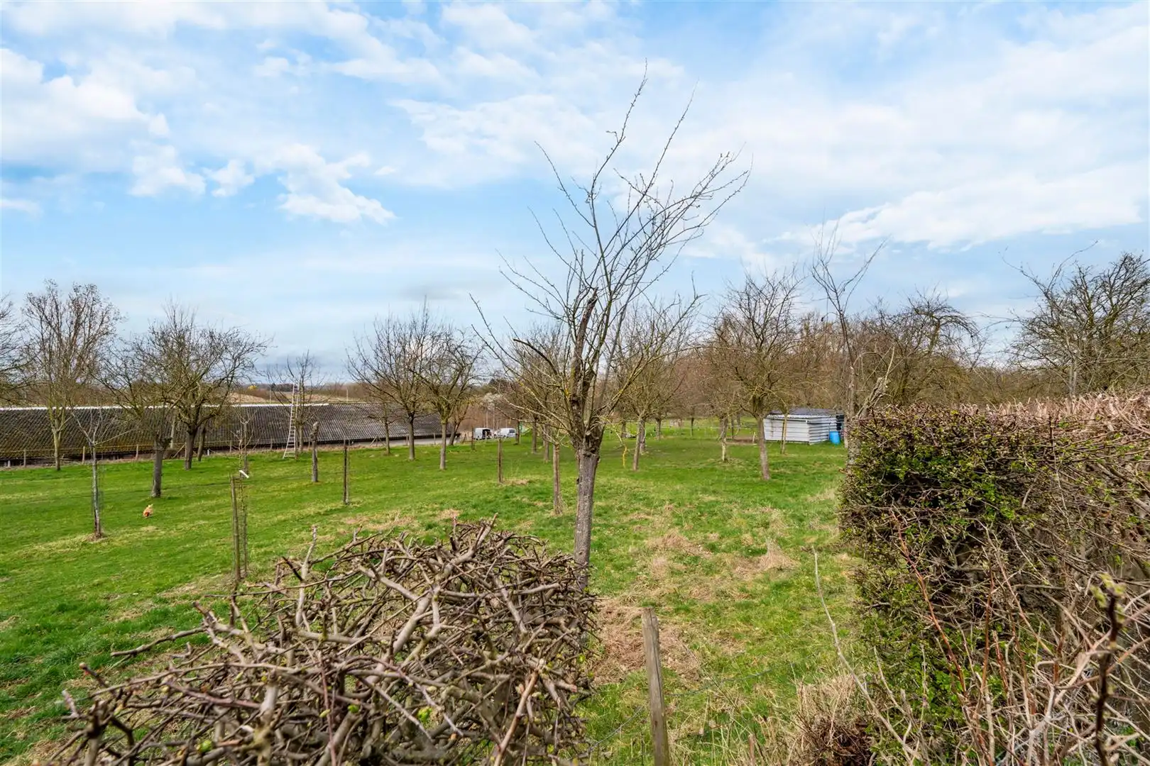 Commercieel uitstekend gelegen woning met tal van mogelijkheden foto 27