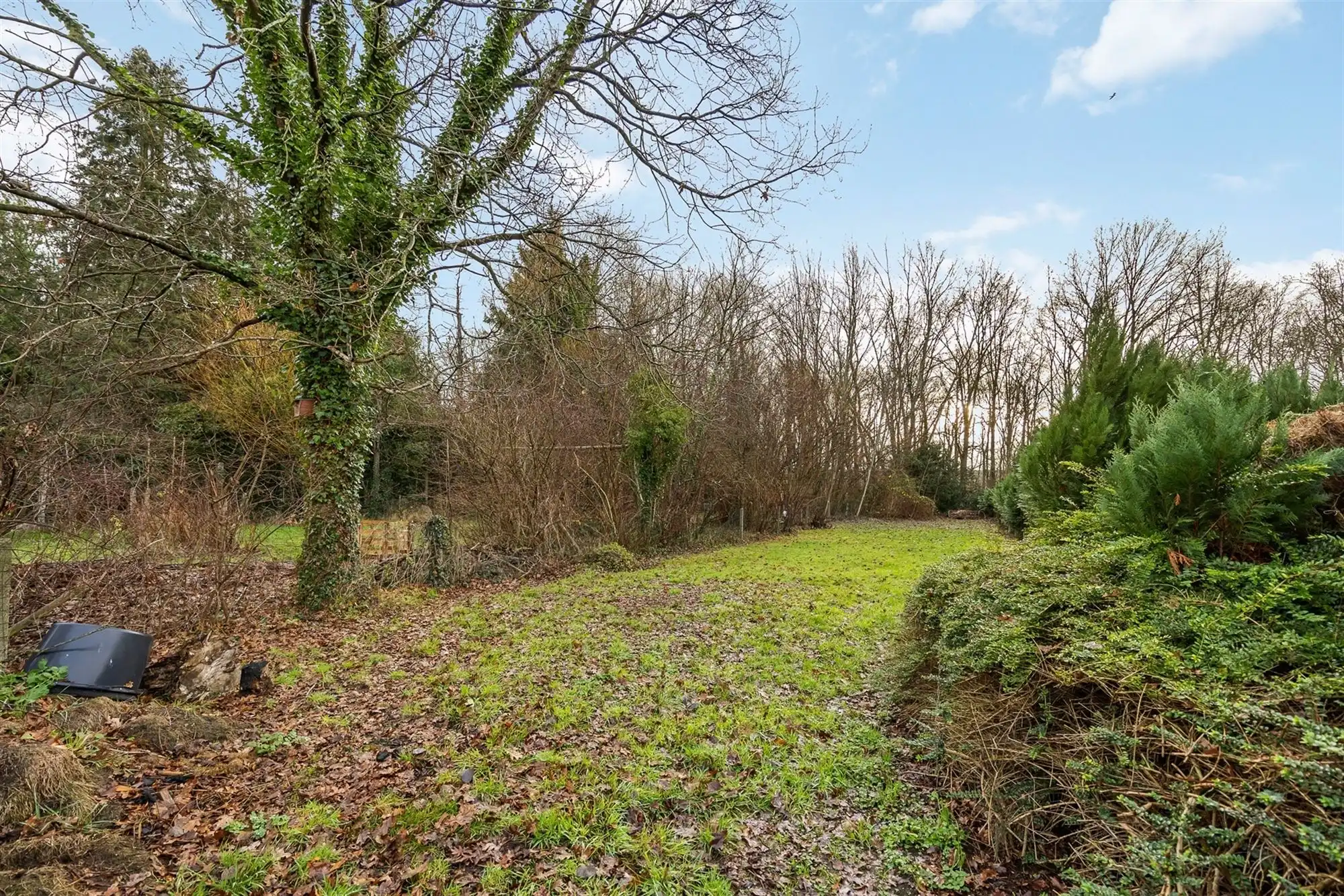 GOED ONDERHOUDEN WONING MET 3 SLAAPKAMERS OP EEN PERCEEL VAN 8A TE ZICHEM foto 23