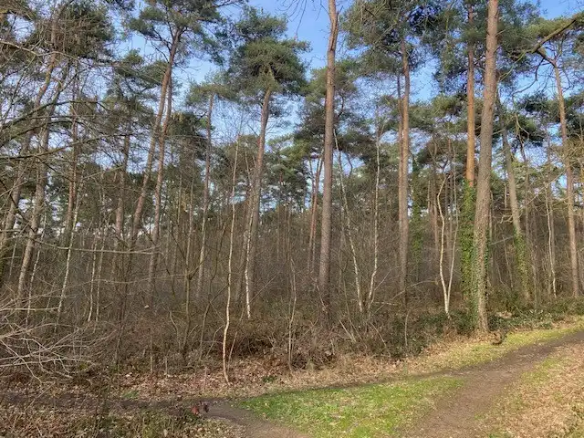 Grond te koop foto 3