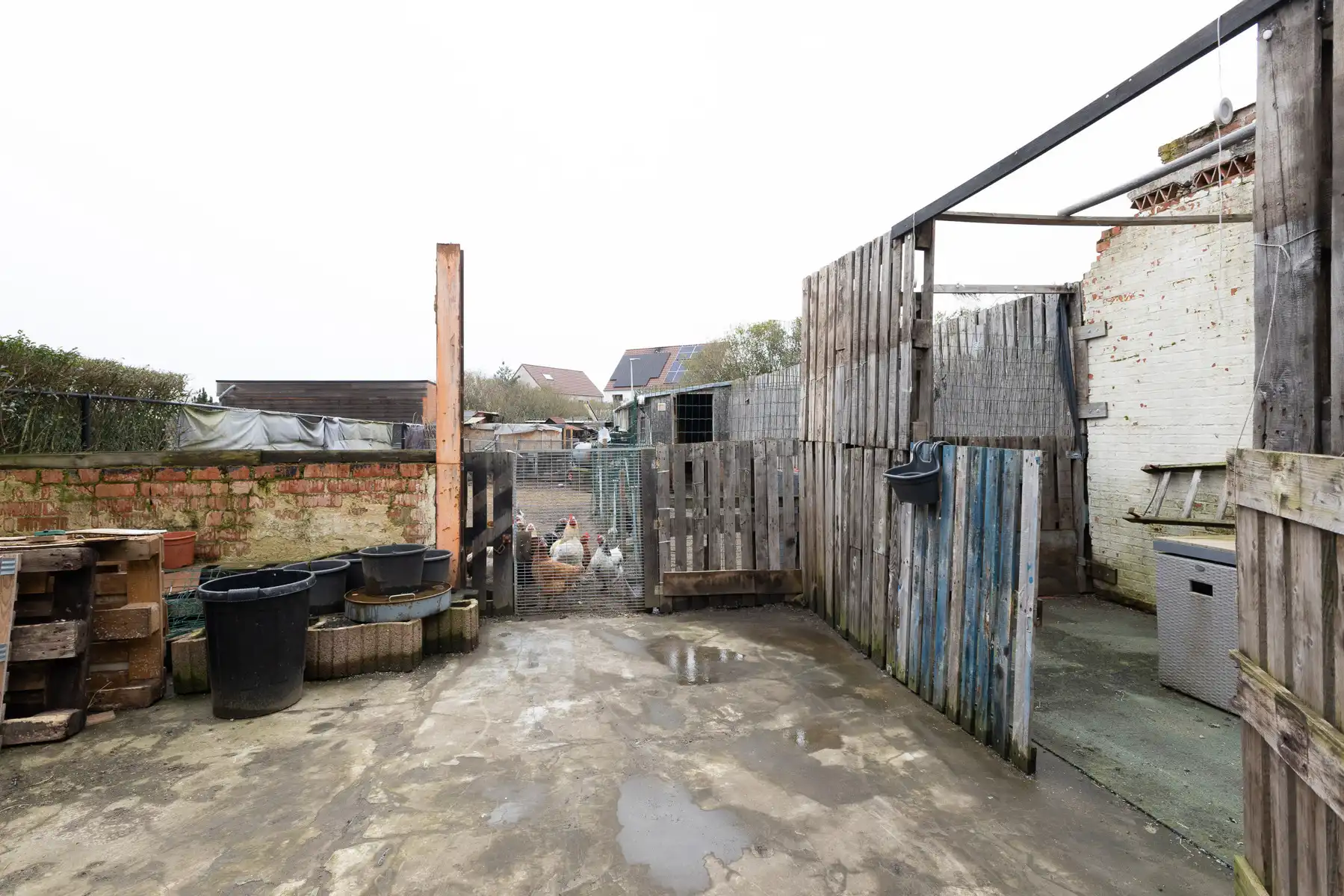 Woning met renovatiepotentieel en ruwbouw gelijkvloers in Morkhoven foto 10