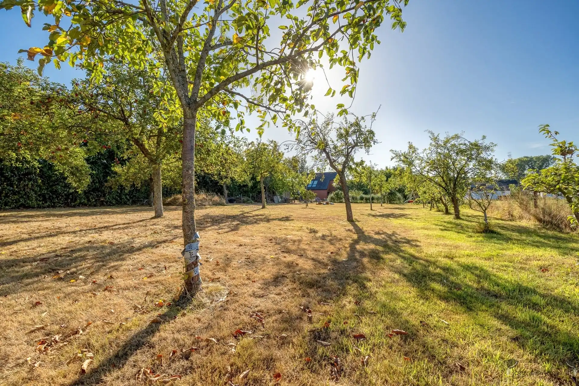 Landelijk gelegen open bebouwing met bijgebouw & grote tuin foto 8