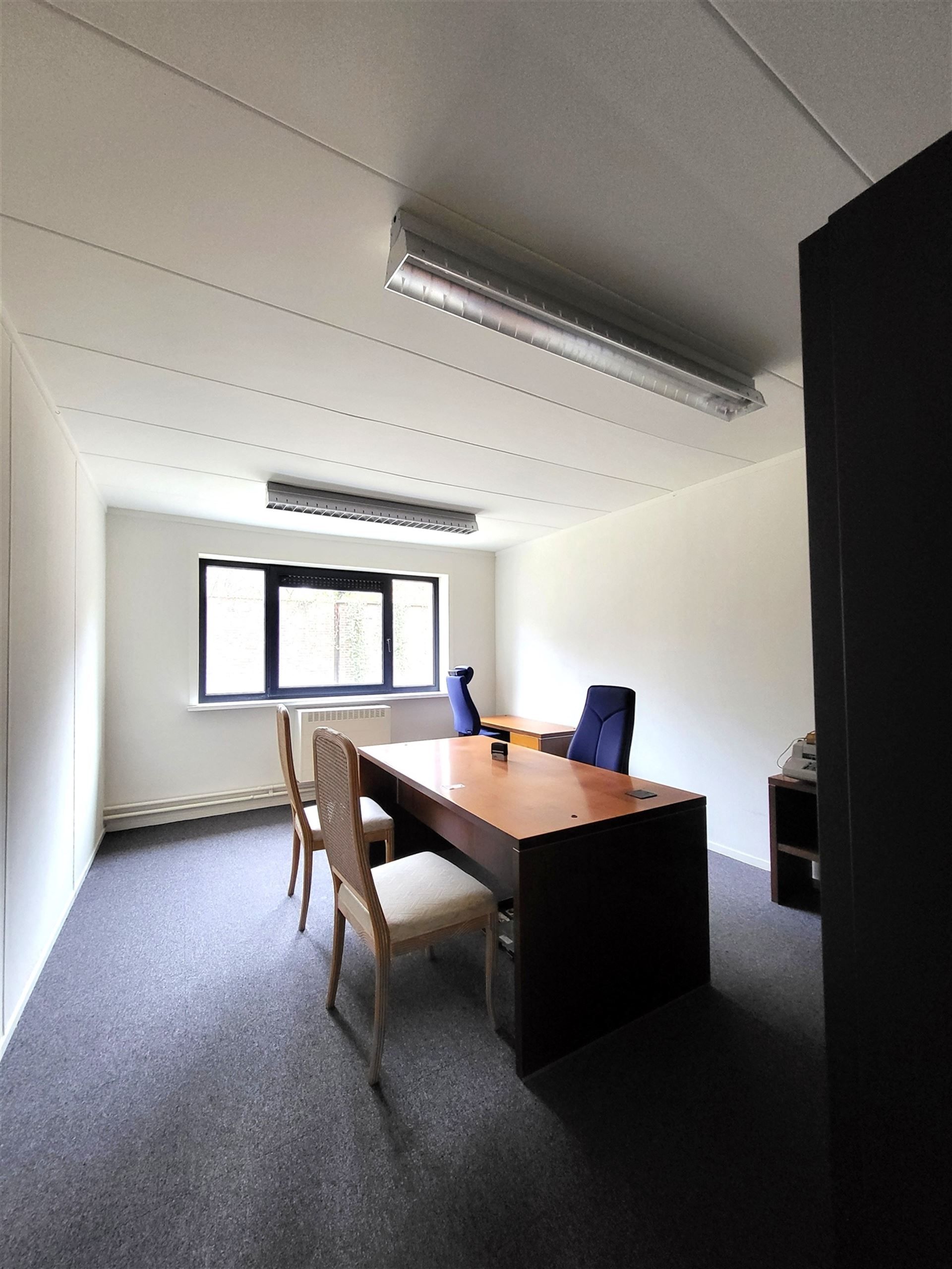 Villa met professionele opslagruimte, kelder en kantoorruimtes. foto 24