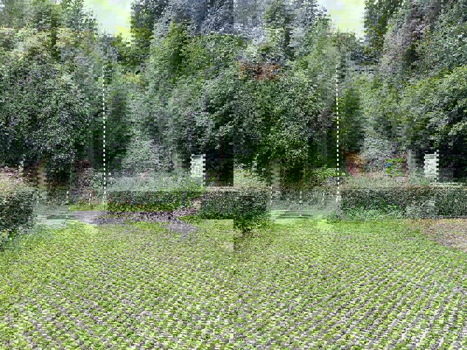 Autostaanplaats buiten, centrum Diest foto 3