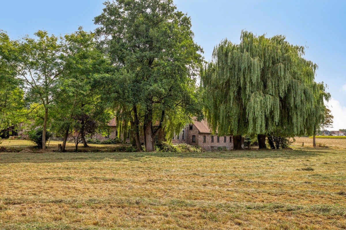 Unieke hoeve met grandeur op 2,3 ha parkdomein  foto 8