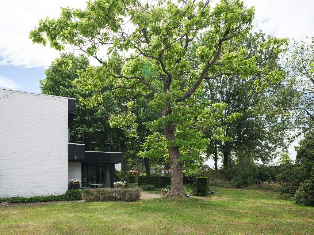 Vrijstaande modernistische villa te Zomergem op een uitzonderlijk perceel van 2.595m². foto 9