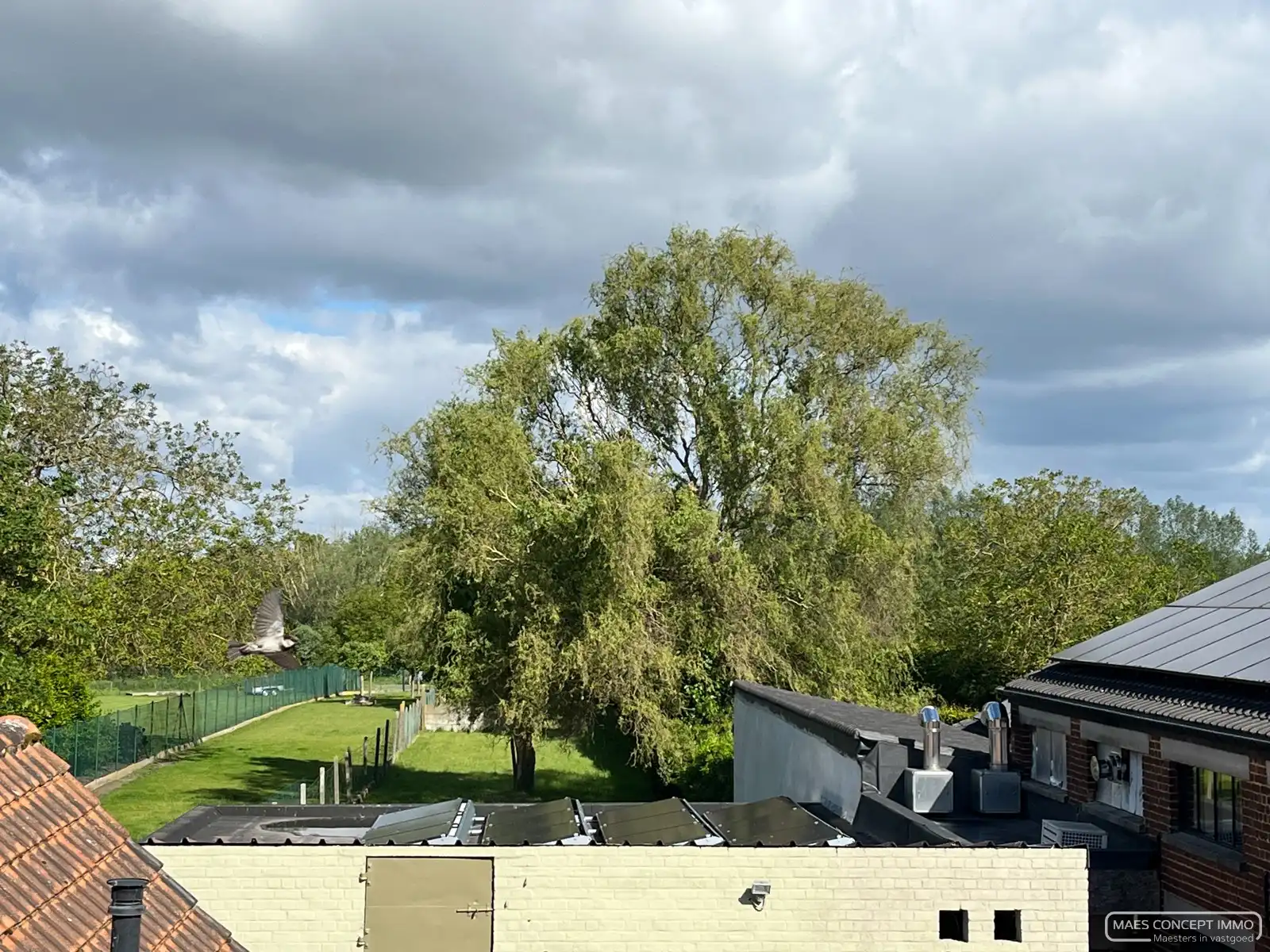 Charmant gerenoveerde woning te huur in Oudenaarde foto 19