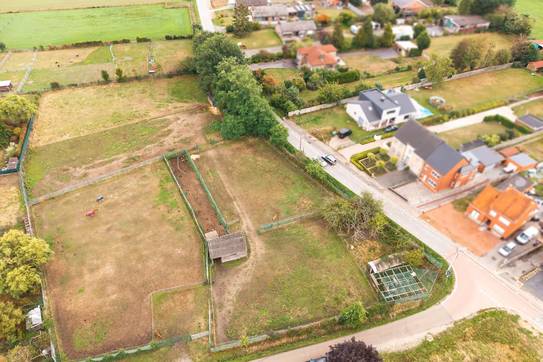 Prachtige weides op toplocatie in Betekom foto 4