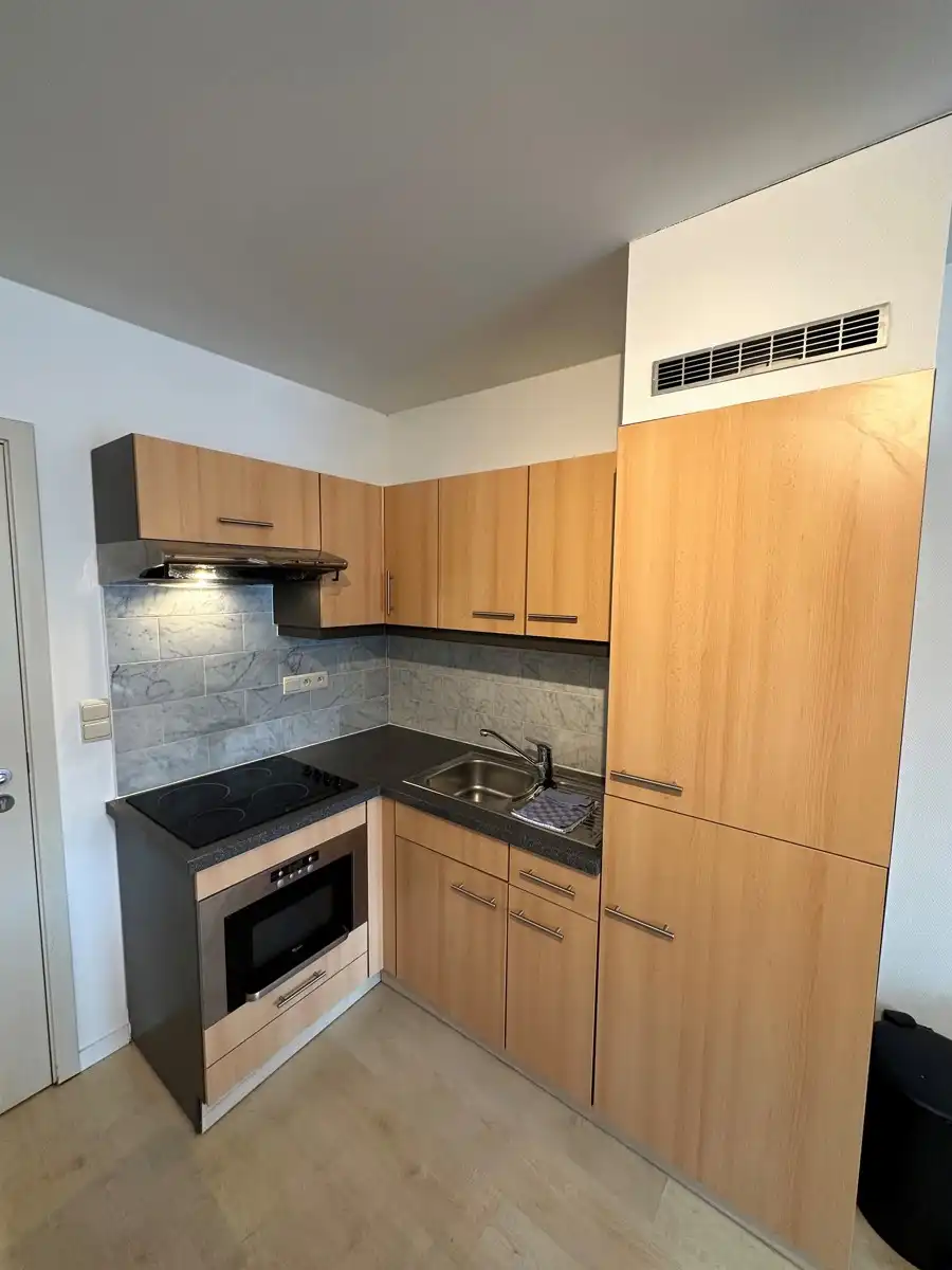 Prachtig Gemeubeld Appartement - 1 Kamer (Plasky) foto 4