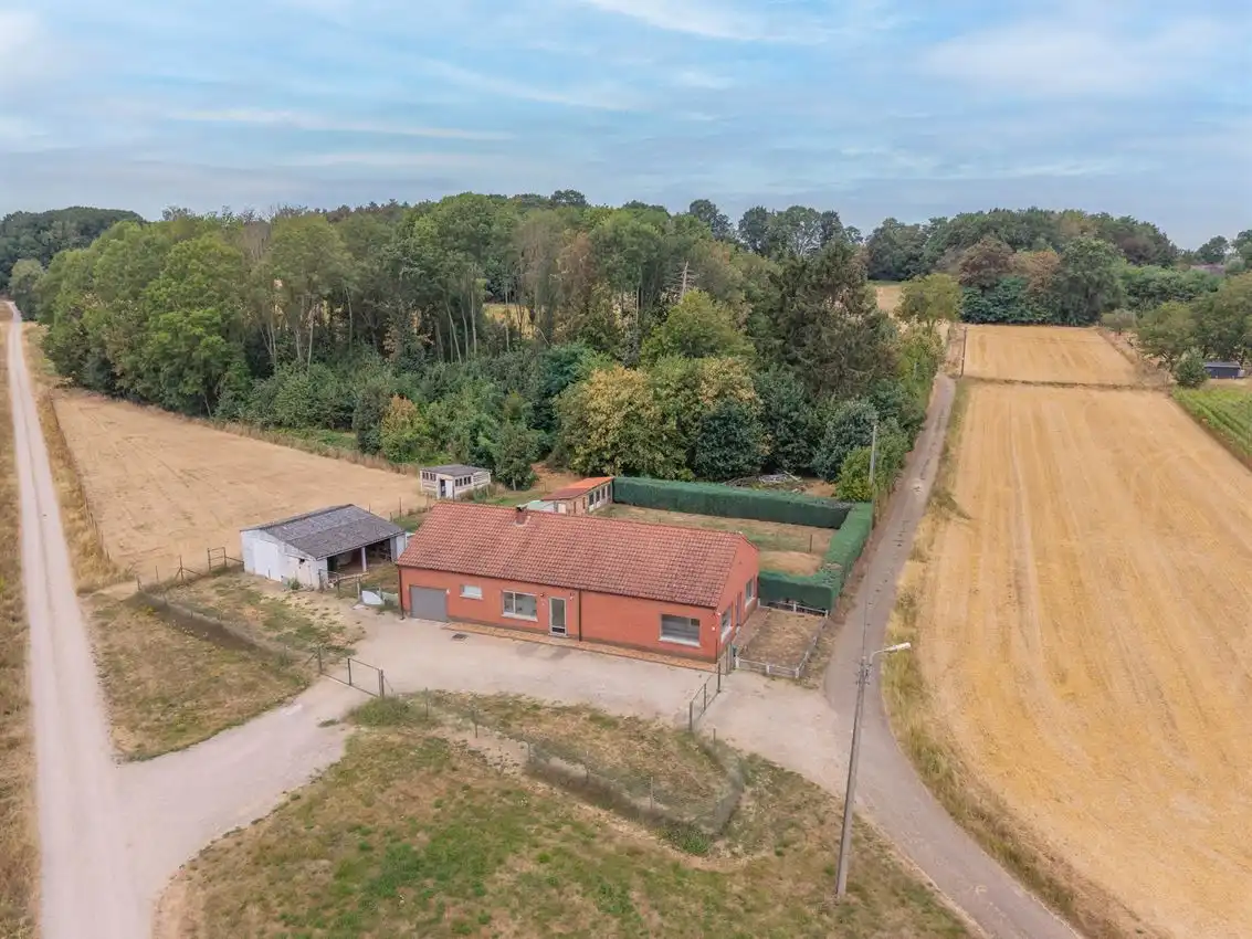 Hoofdfoto van de publicatie: Gelijkvloerse woonst, 3 slpk, op 29a 53ca