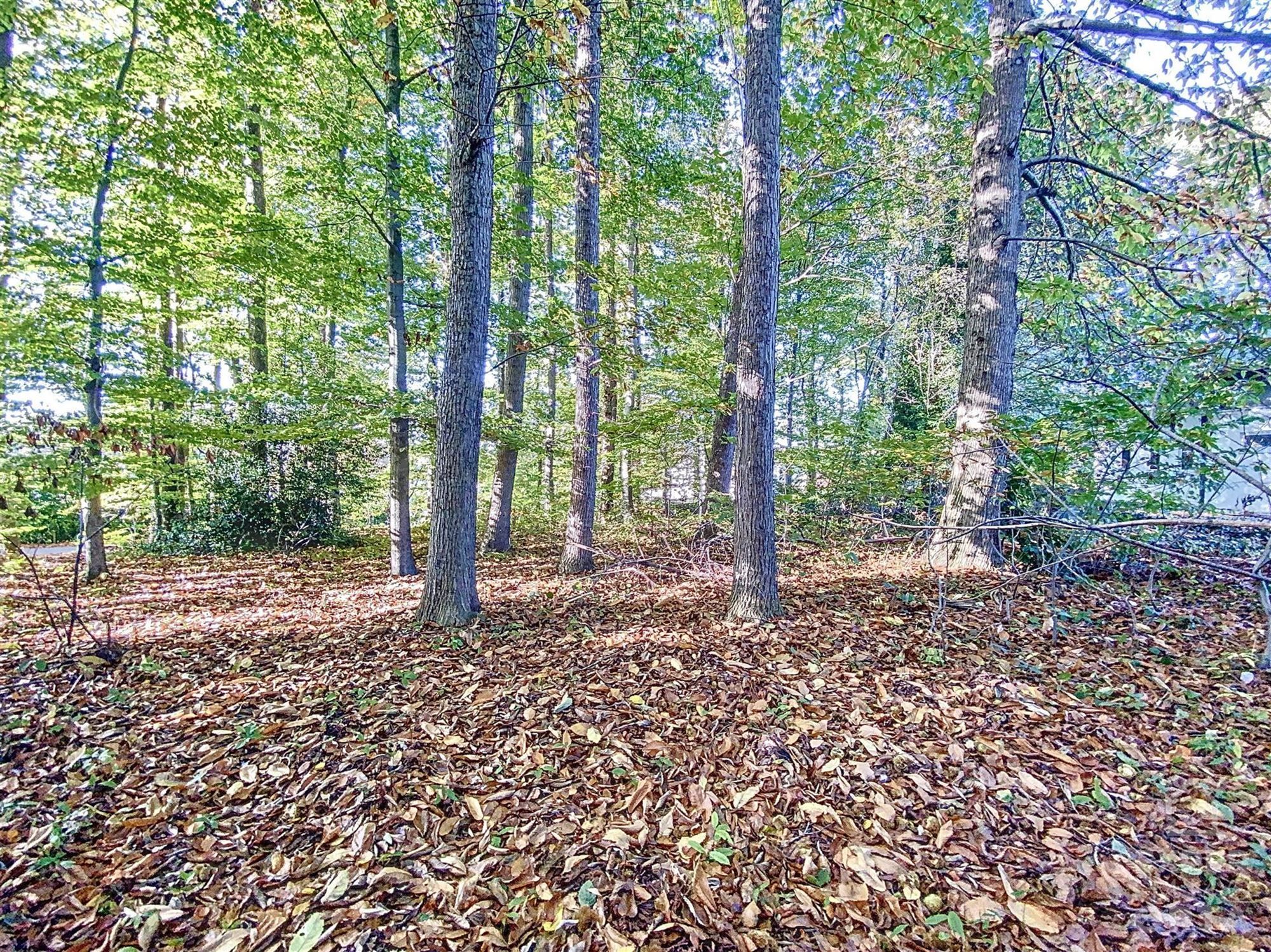 Te koop: Prachtig gelegen stuk grond gelegen in woongebied met landelijk karakter bestemd voor open bebouwing foto 7