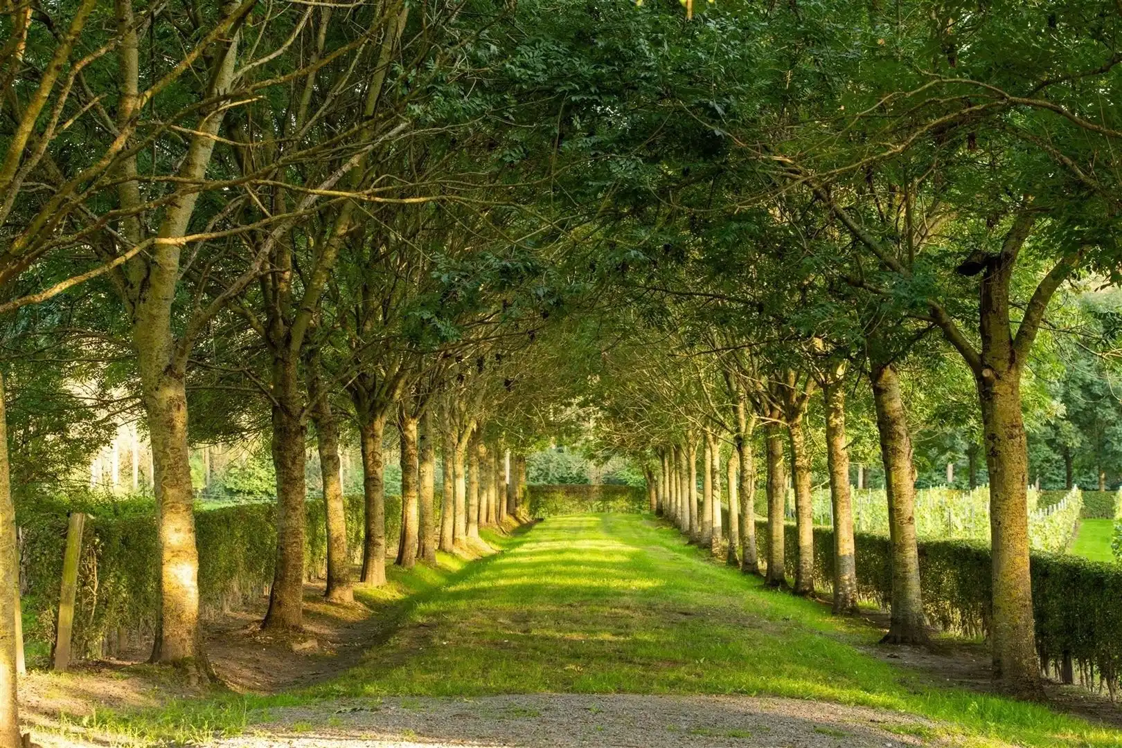 Instapklaar kasteeldomein met vierkantshoeve foto 17