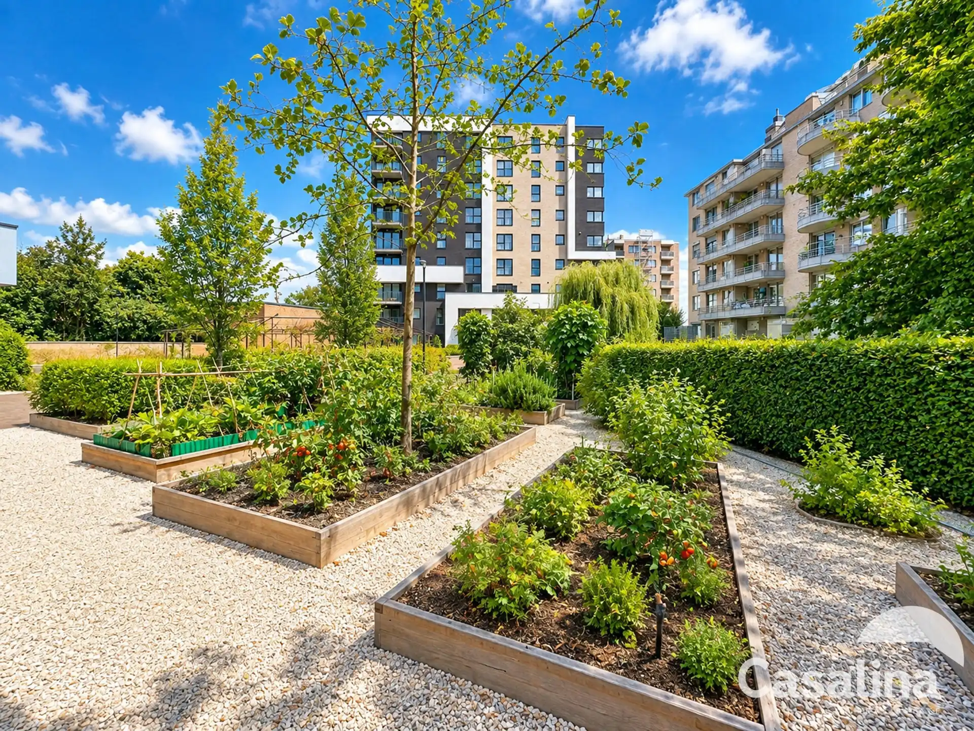 📅 Reserveer online uw bezoek via www.casalina.be foto 10
