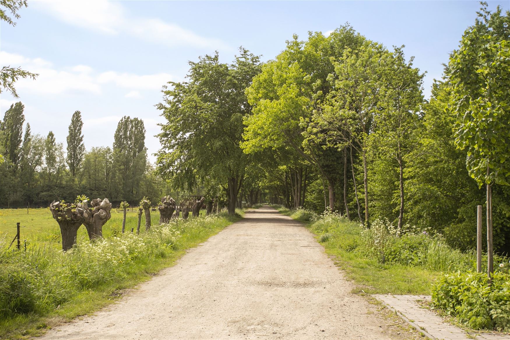 Laatste lot bouwgrond voor open bebouwing foto 6