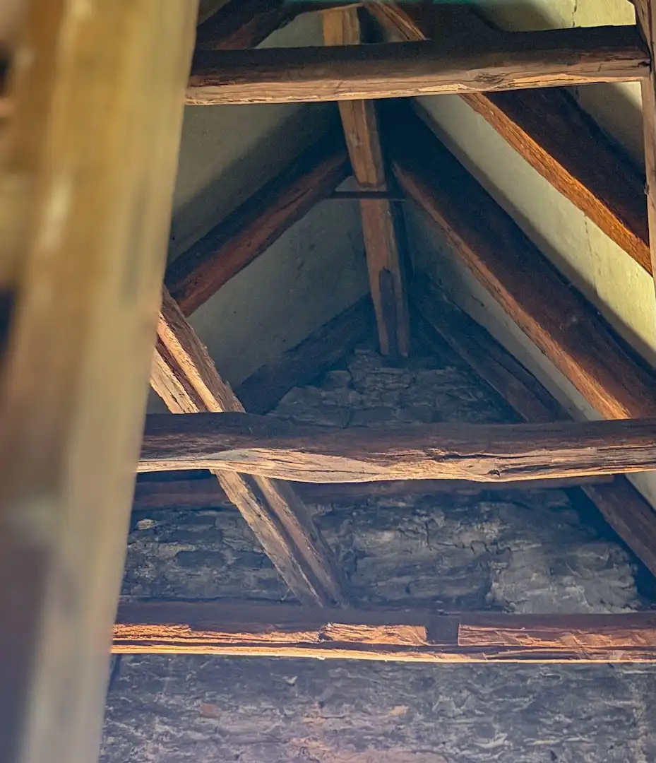 een verborgen stukje Brugge, met een verhaal achter elke deur foto 31