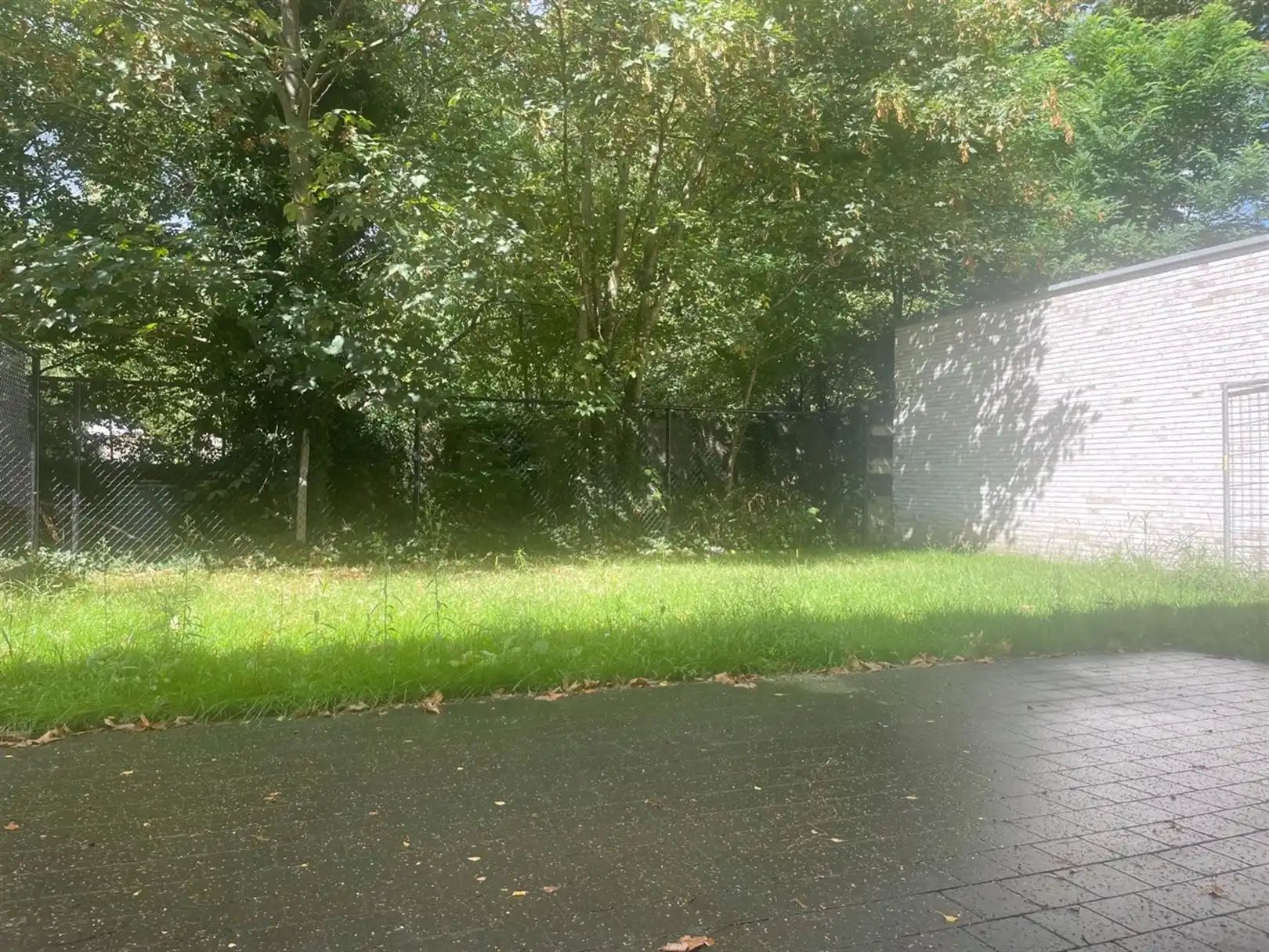 BEN-woning in nieuw GROENZICHT-domein. foto 7