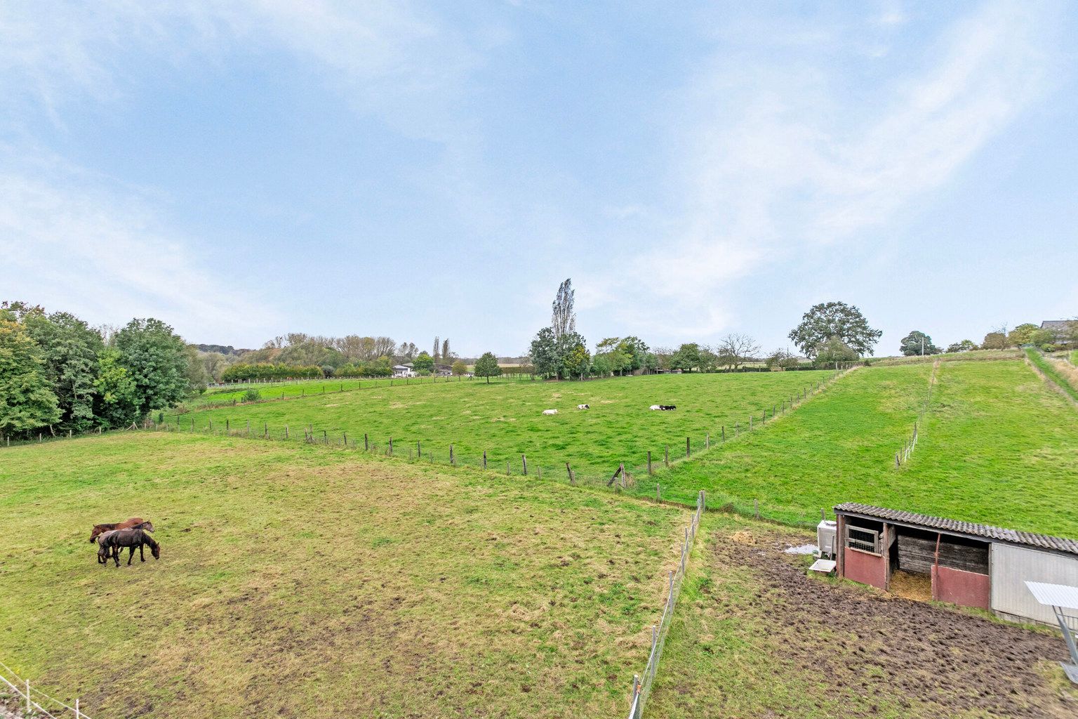 immo DAVID stelt voor: instapklare 3-gevel woning foto 14