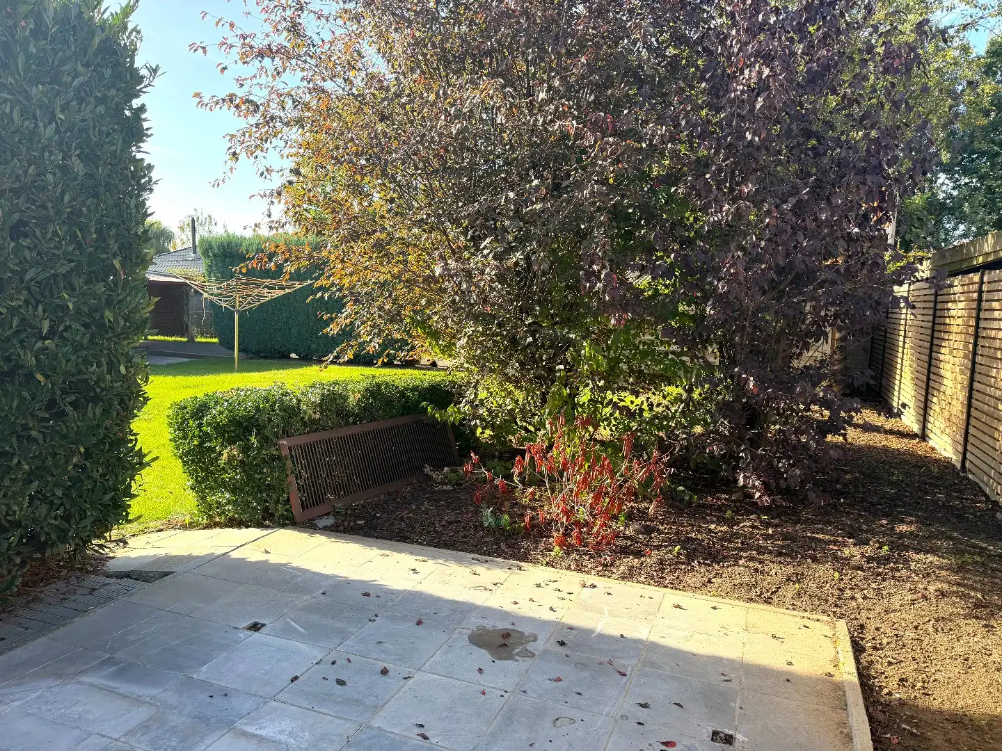 Gelijkvloerse woning met ruime tuin te koop op 720 m² in De Wijnberg te Wevelgem foto 16