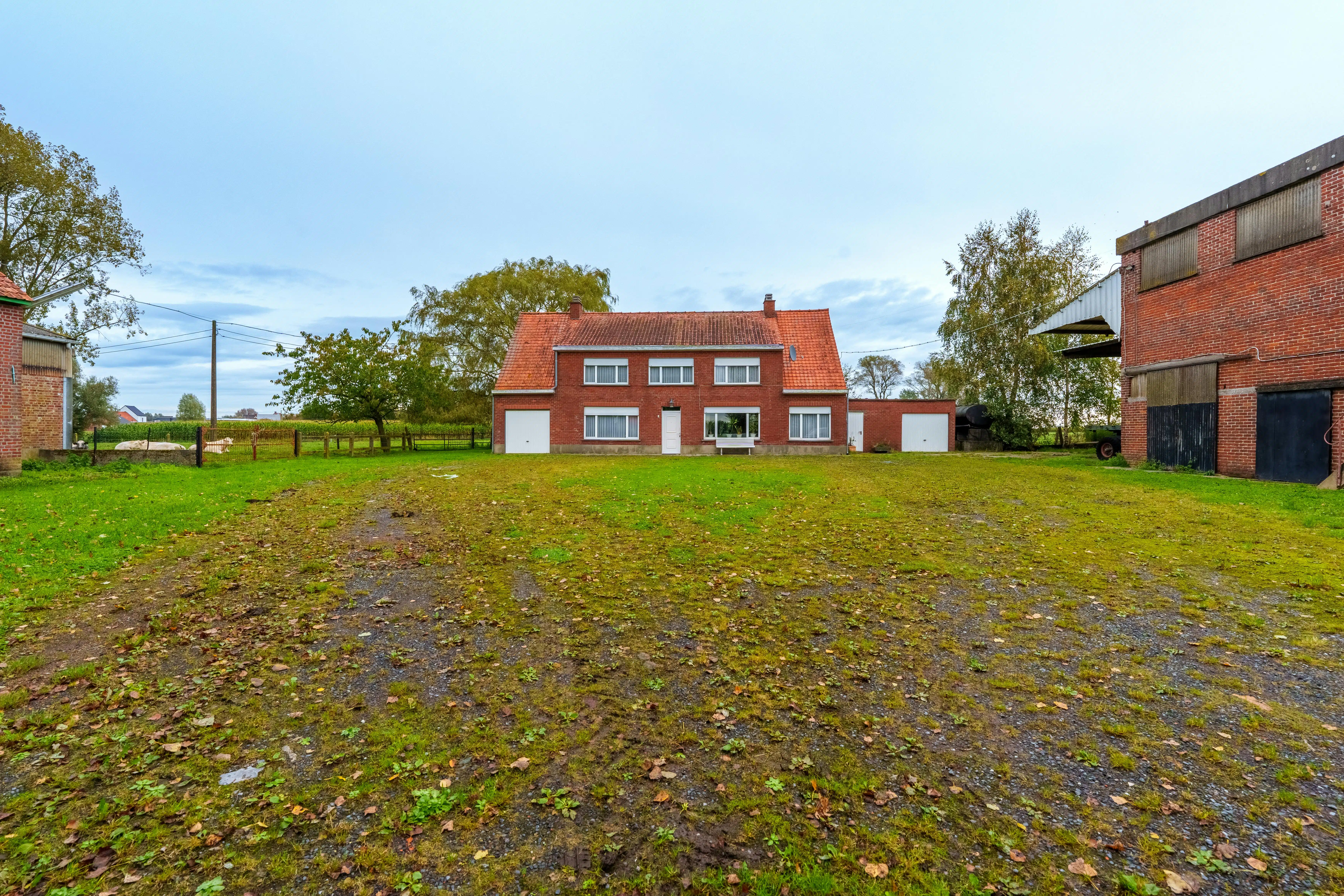 Fantastische roterij op de grens van Izegem en Lendelede  foto 11