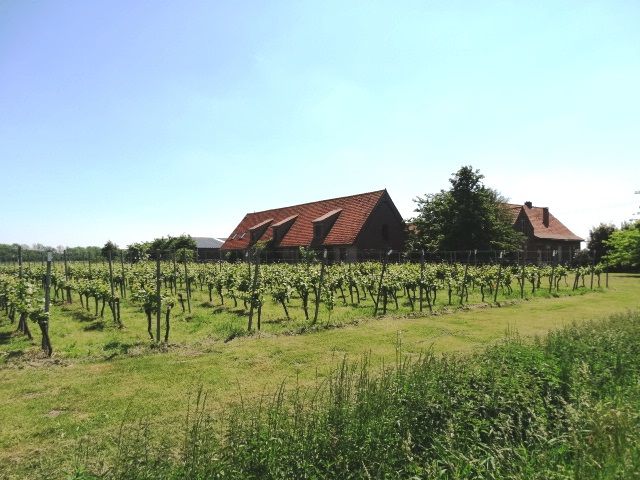 Hoofdfoto van de publicatie: Hoeve