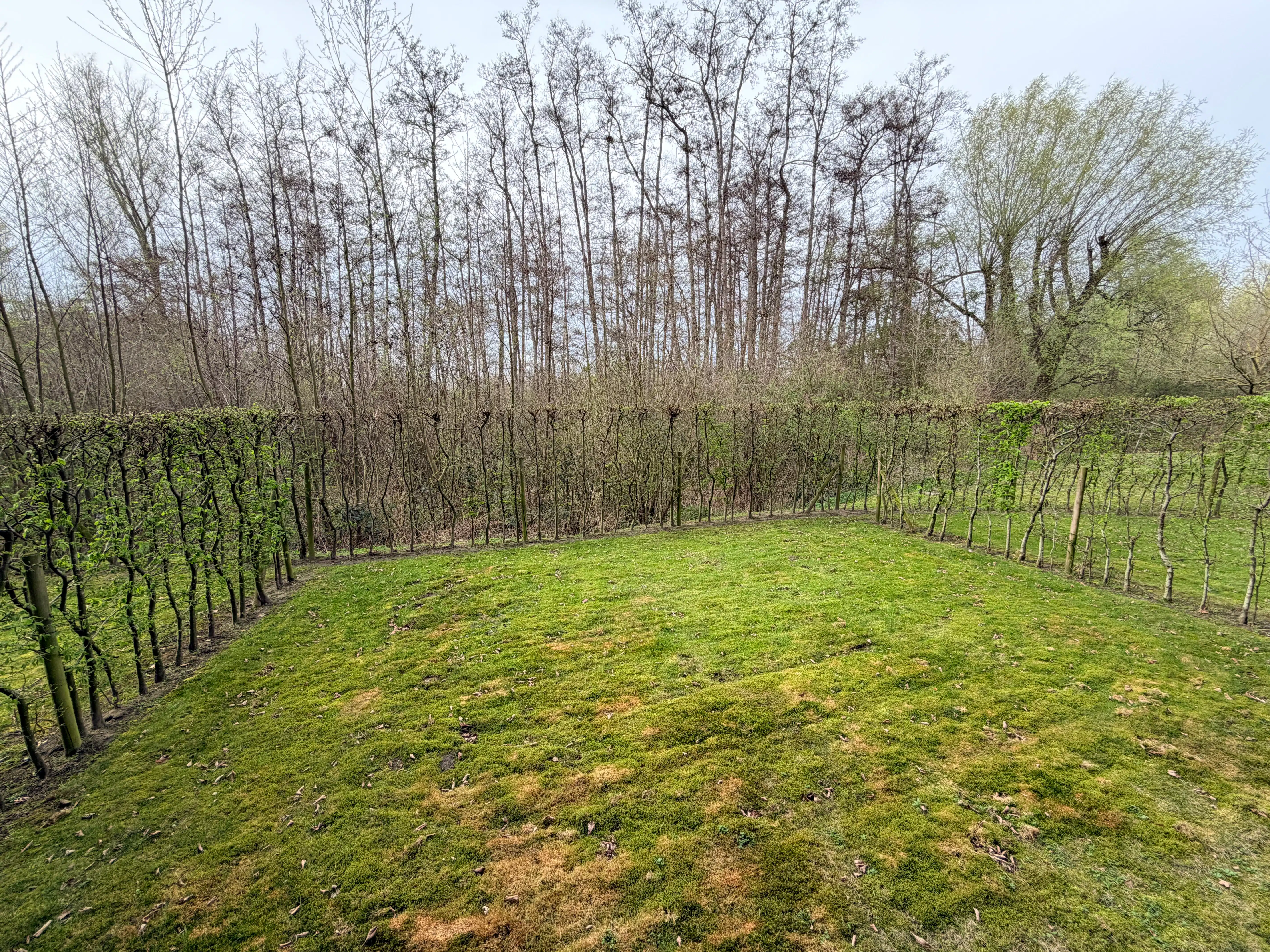 --- NIEUW ---&nbsp;Instapklaar gelijkvloers appartement met tuin op topligging nabij Gent-Sint-Pieters. foto 4