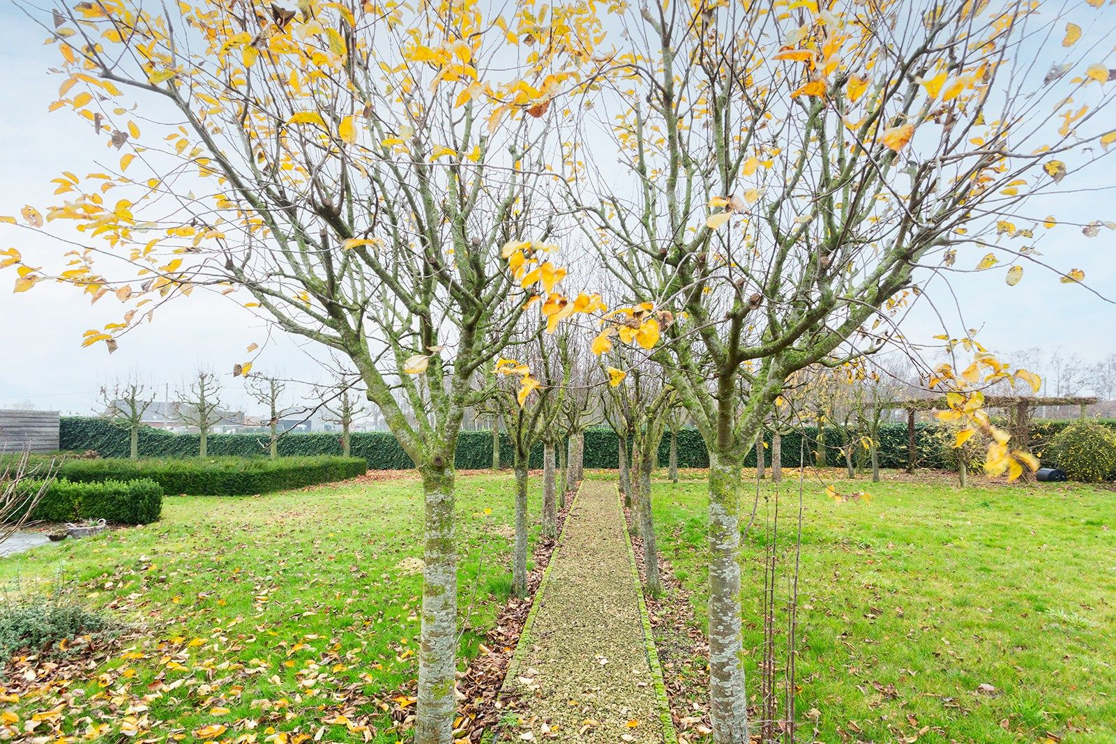 Charmante gezinswoning op 6.217 m² foto 25