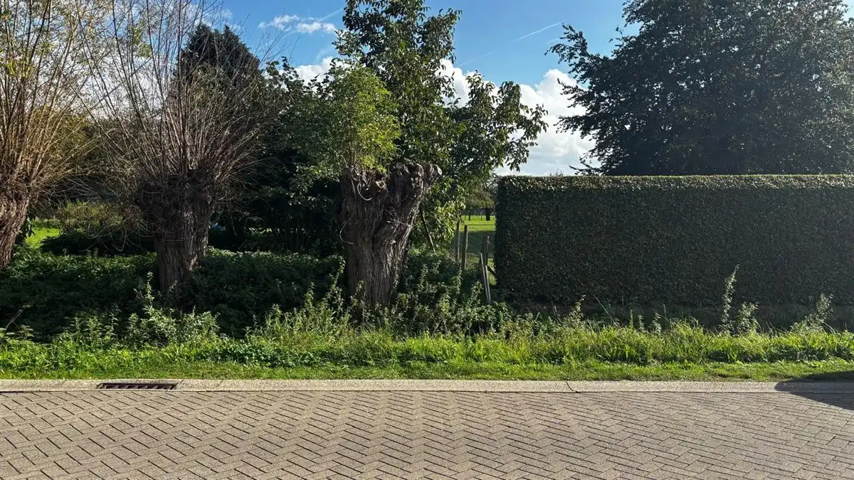 Bouwgrond van 714 m² in een landelijke omgeving te Stabroek foto 9