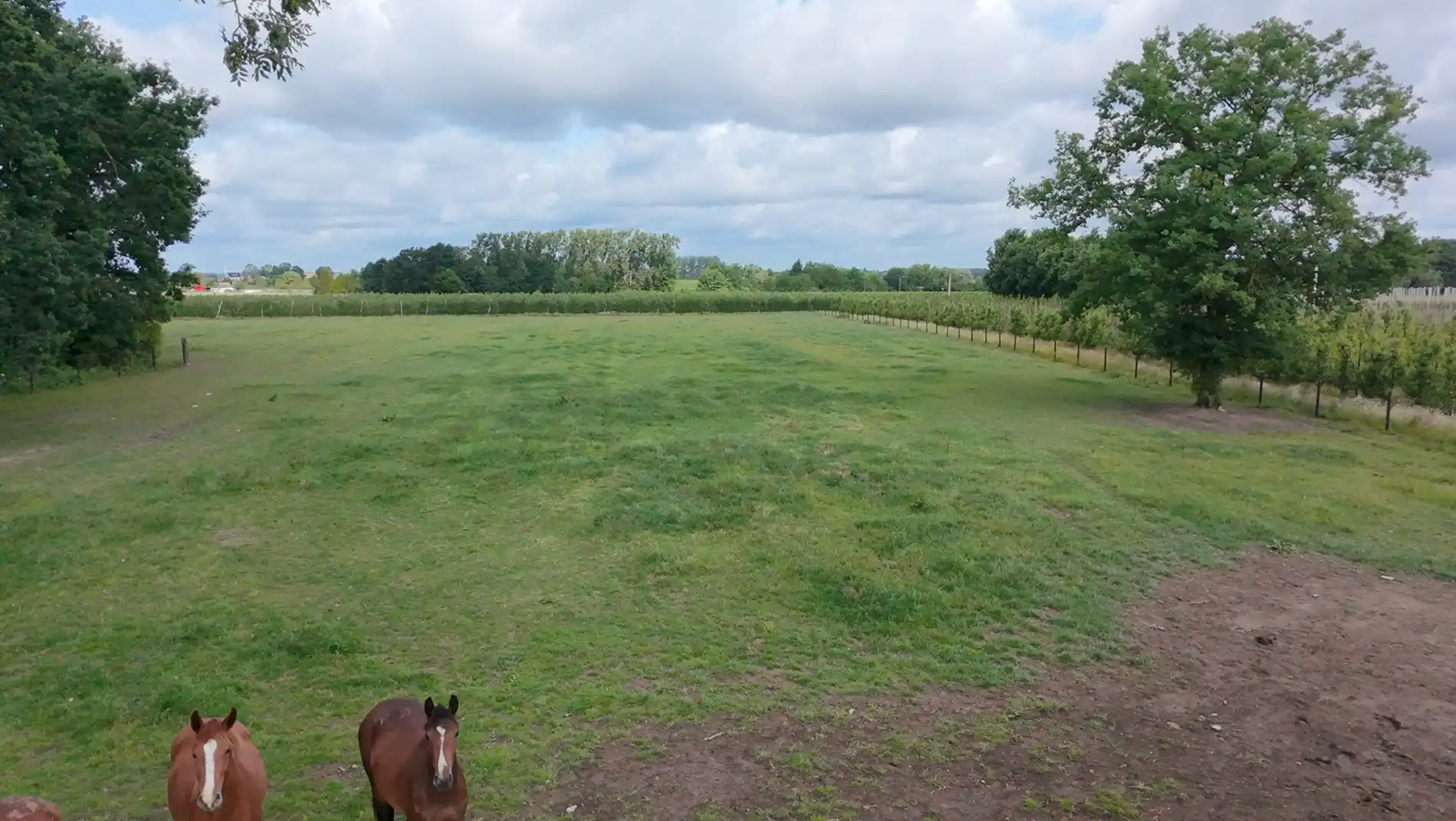 Charmante hoeve te koop in Herk-de-stad foto 19
