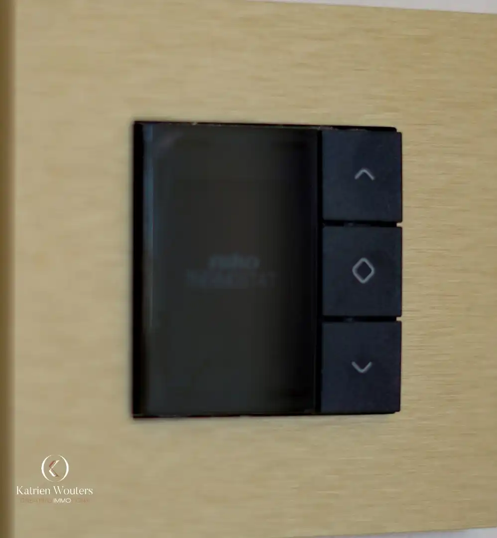 Uitzonderlijke villa met parktuin foto 17