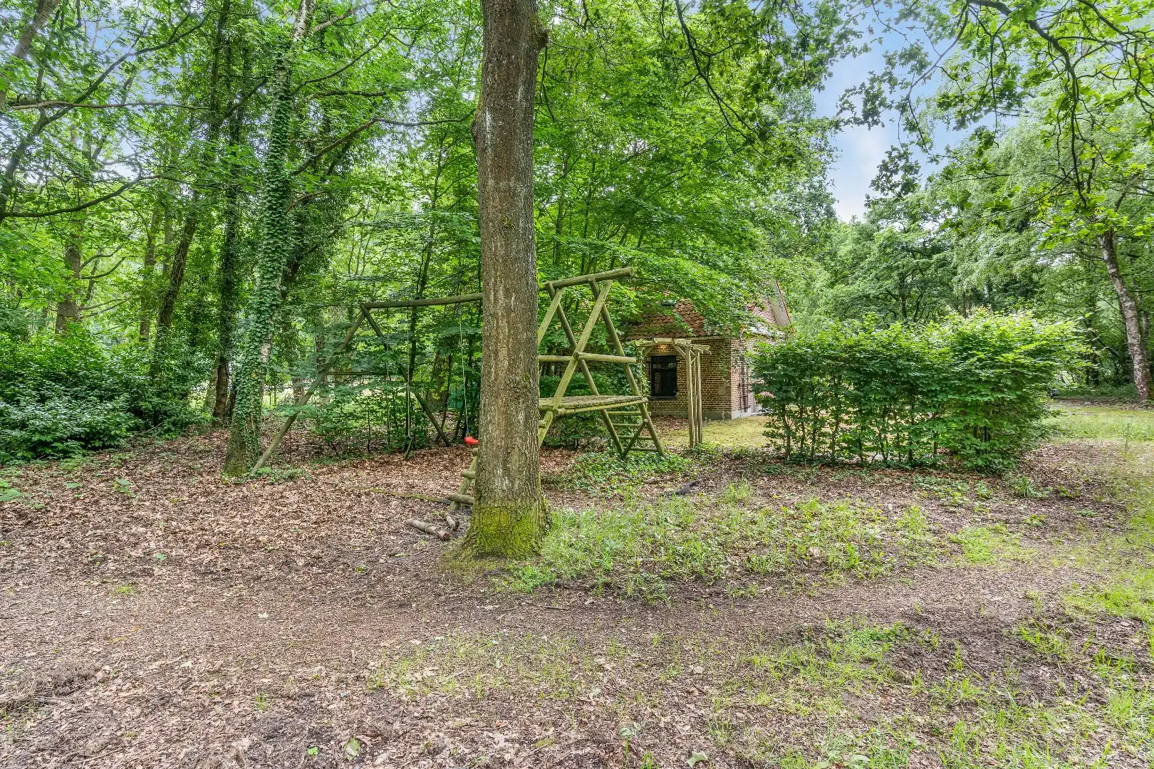 Authentiek horecapandje ideaal voor een healthy coffee-, lifestyle- en natuurconcept in het Dilserbos-Sparrendal. foto 36