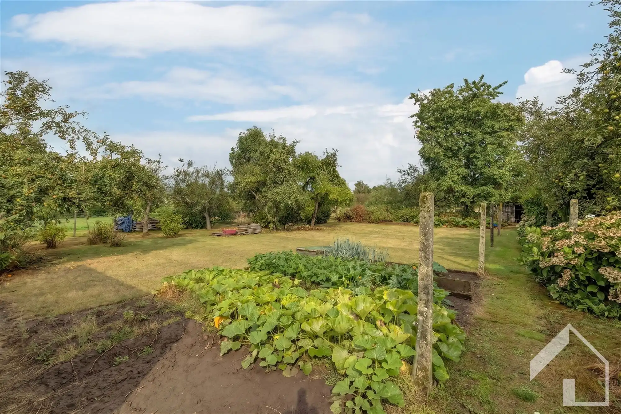 Te renoveren woning op toplocatie foto 2