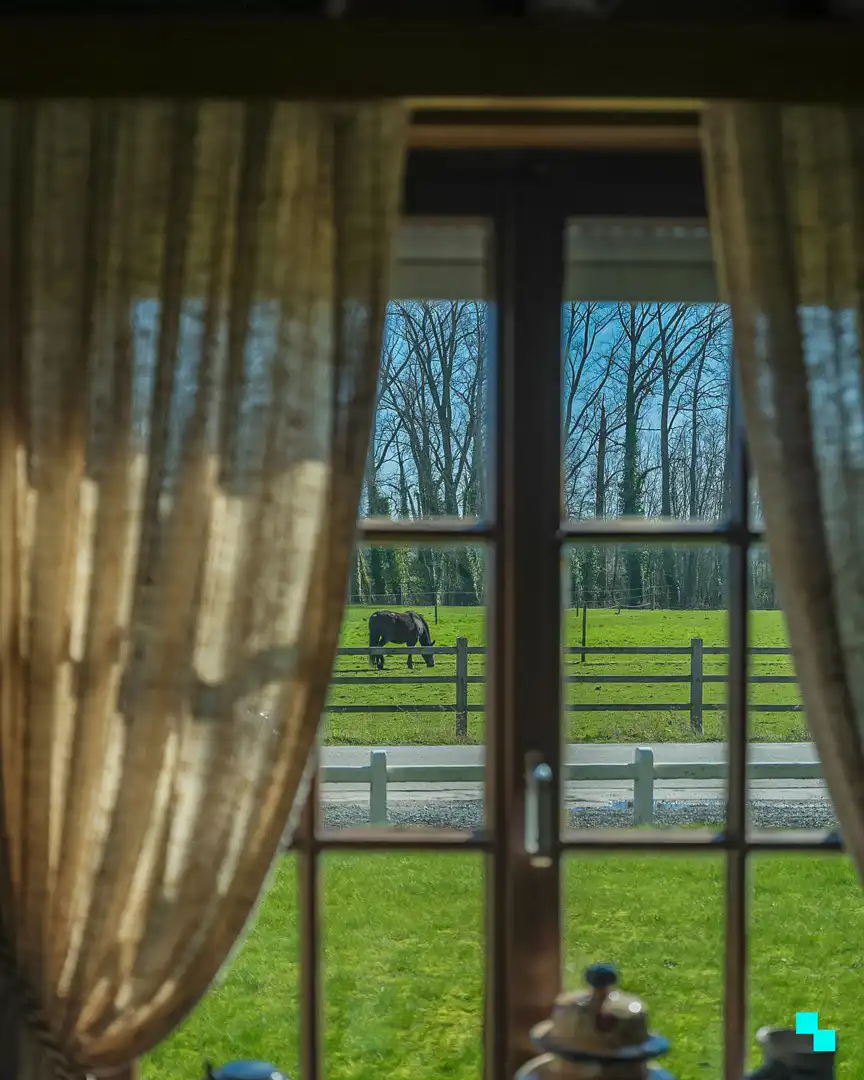 Charmante bungalow in het groene Oosterzele foto 5