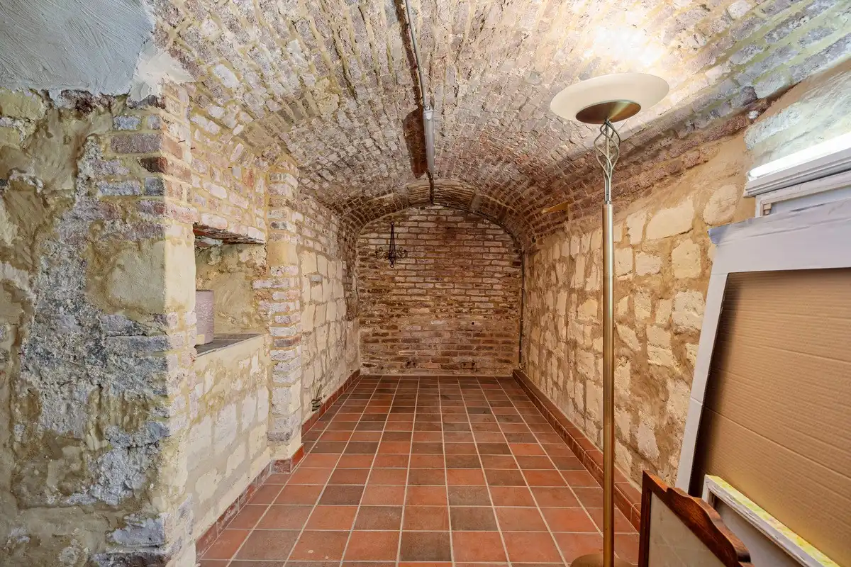 Ruim handelsgelijkvloers in historisch pand in het centrum van Maaseik foto 12