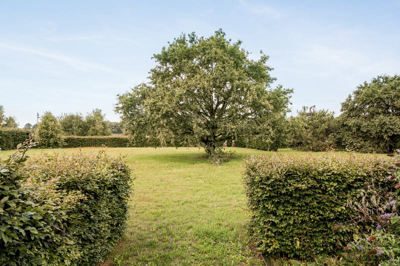 Uitzonderlijke villa met stallen foto 11