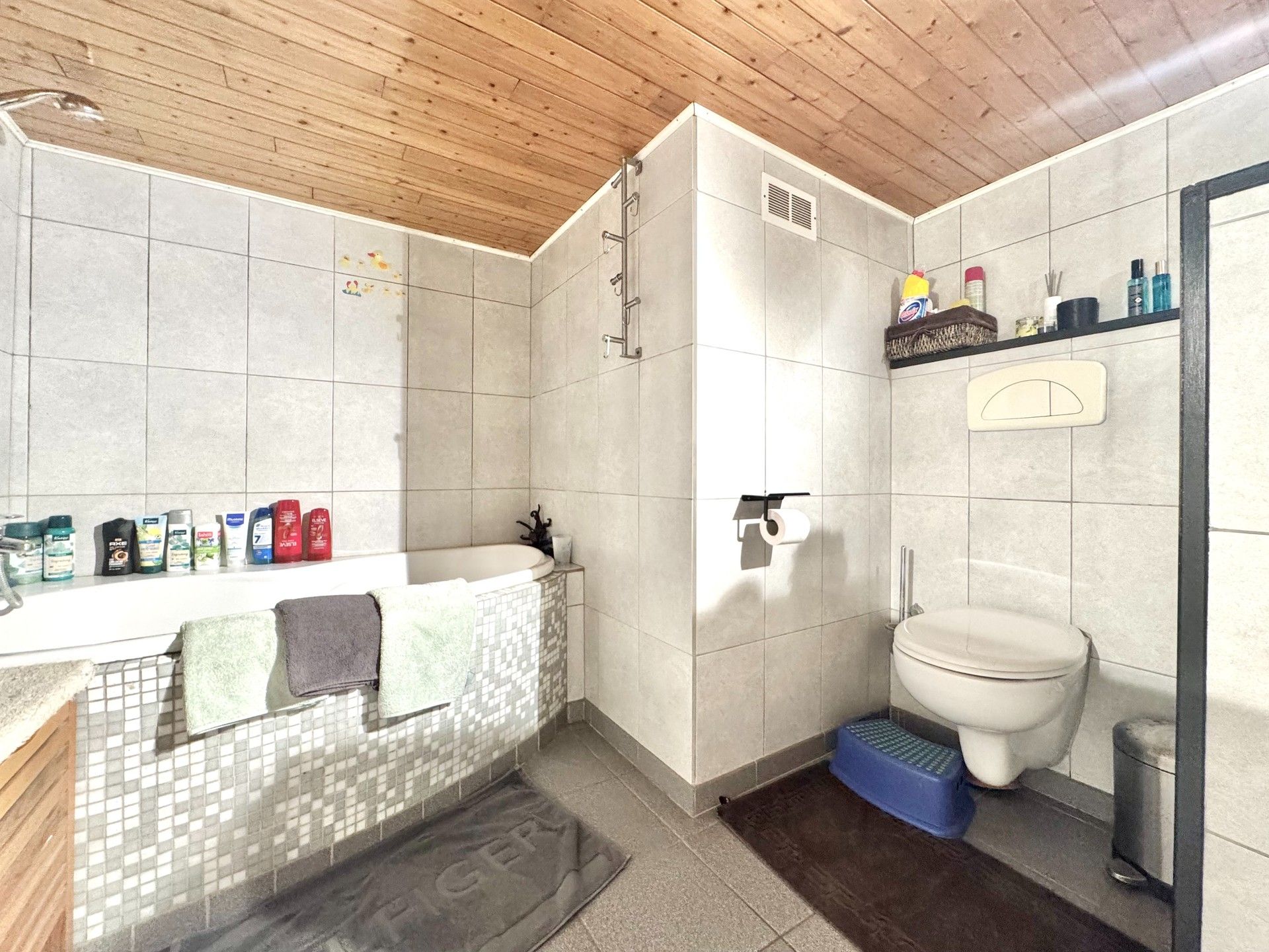 GEZELLIGE WONING MET 2 SLPKS EN TUIN OP 290 M² foto 13