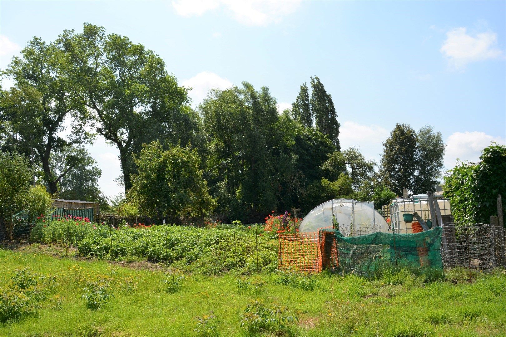 Projectgrond van 1.082 m² in Oudenburg te koop foto 3