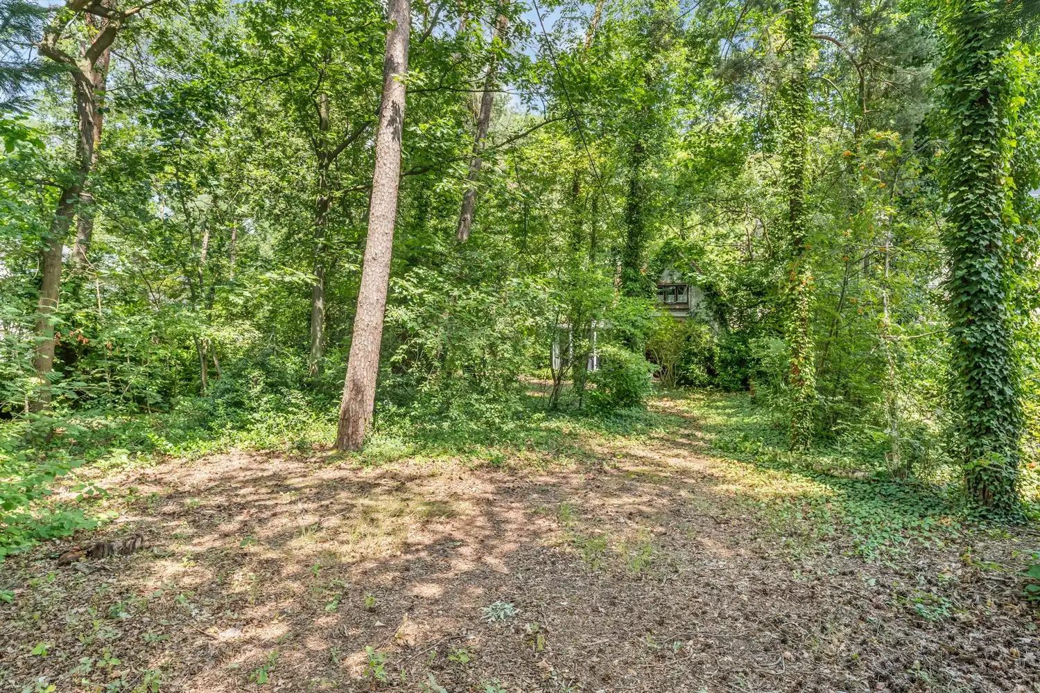 Unieke boswoning op een prachtig groen perceel van 1.454 m² foto 16