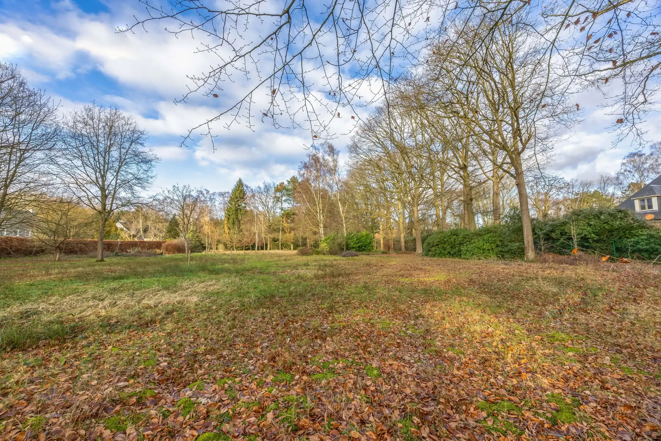 Ruime bouwgrond van 3.010 m² op centrale locatie foto 9