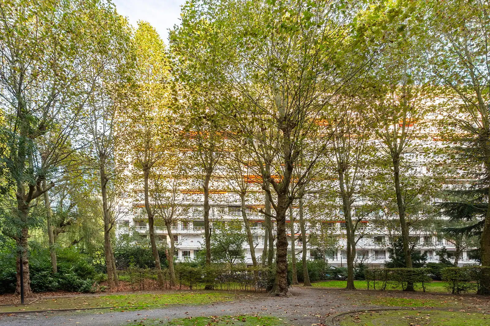 Gerenoveerde parel in het groen  foto 20